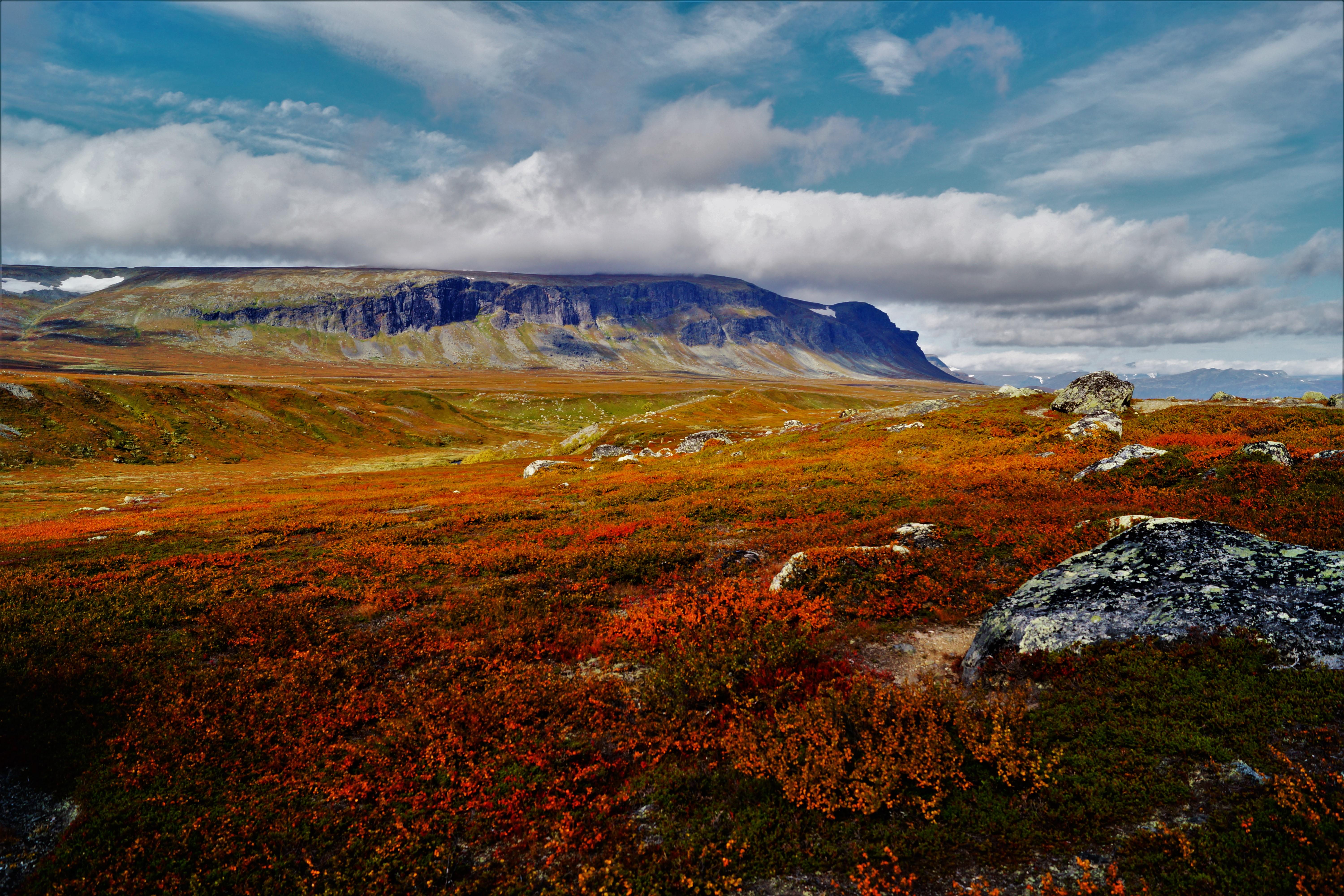 fall-on-the-fj%C3%A4ll