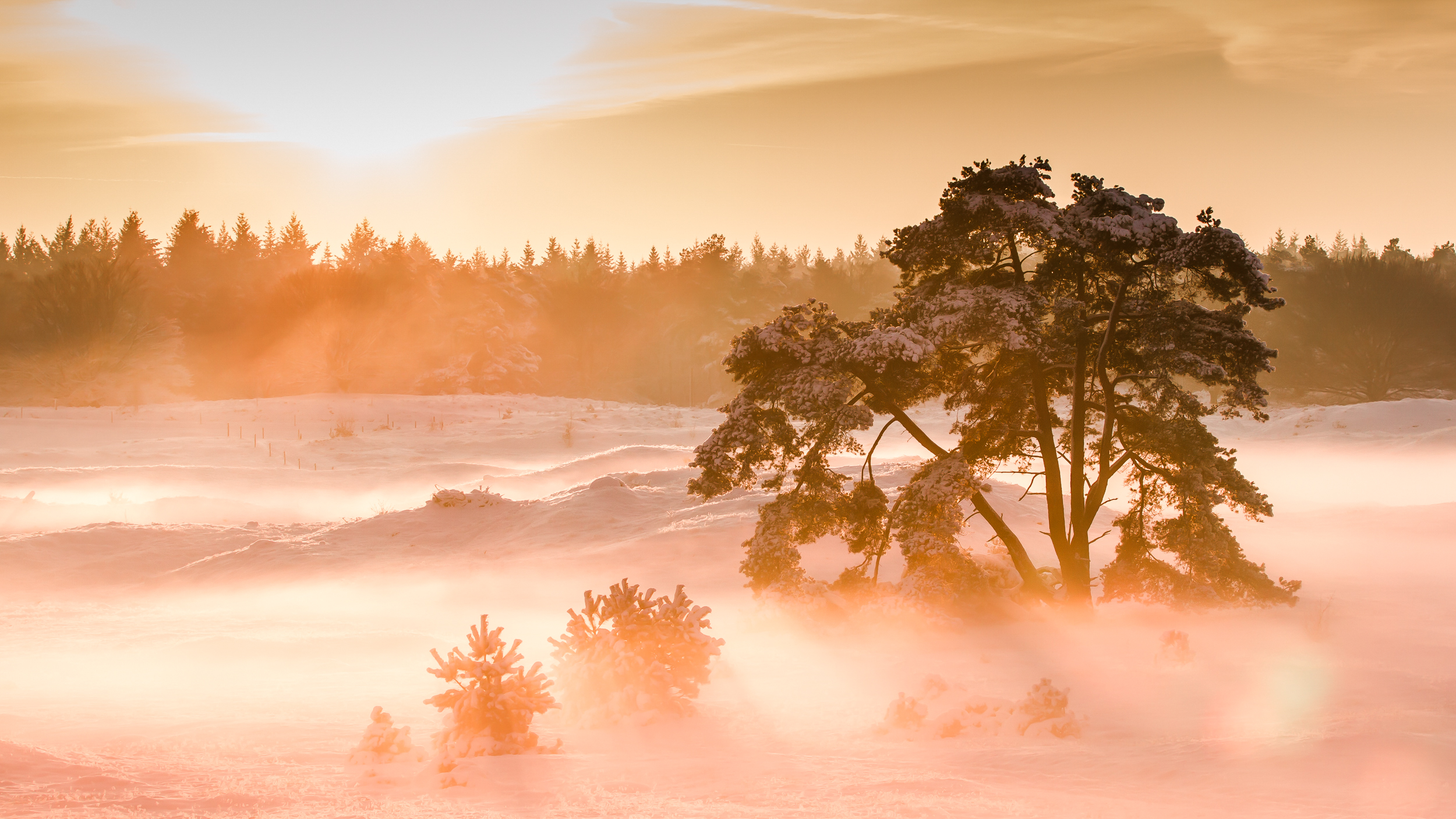 world-of-winterlight