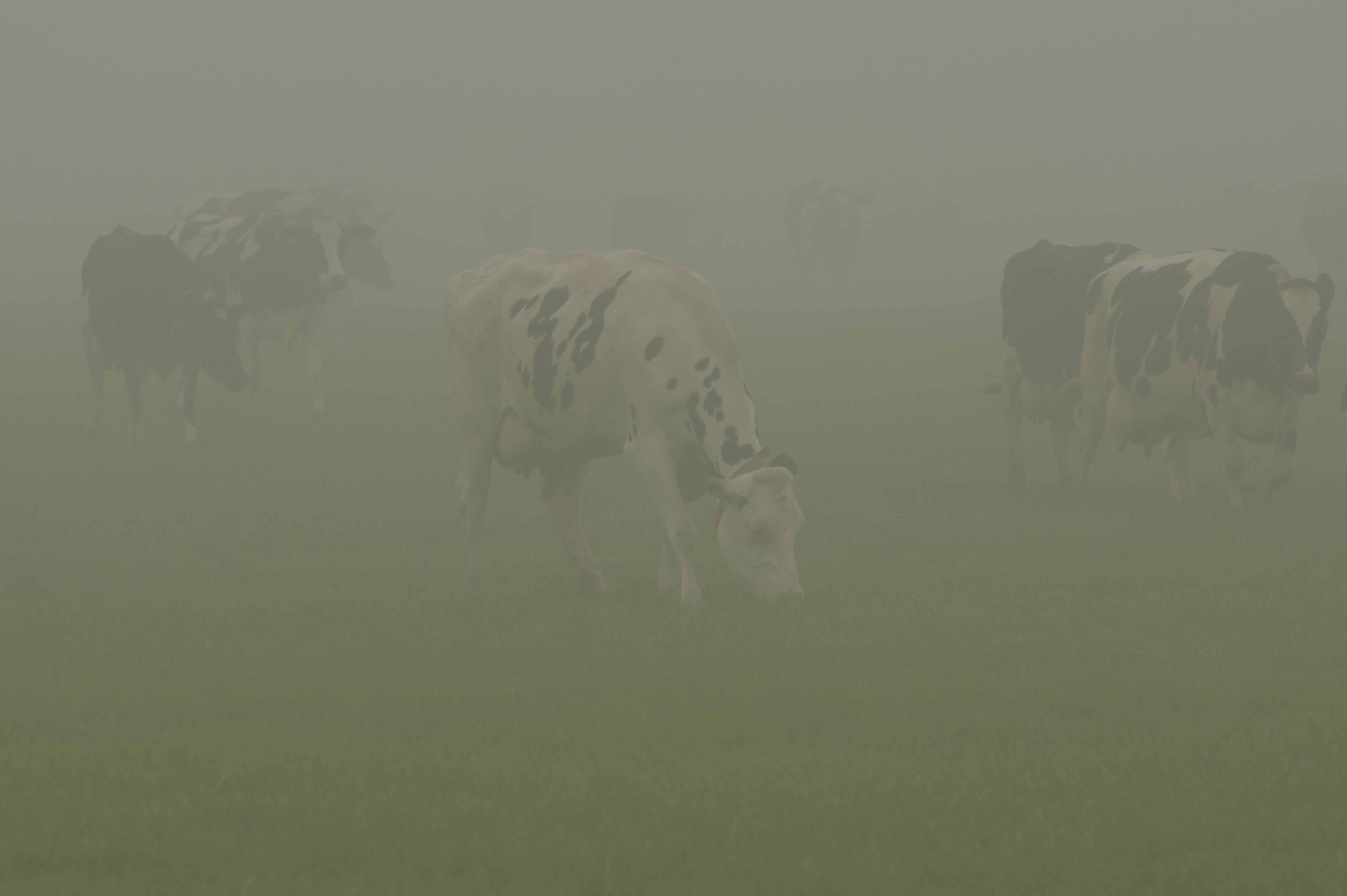 op-een-vroege-ochtend