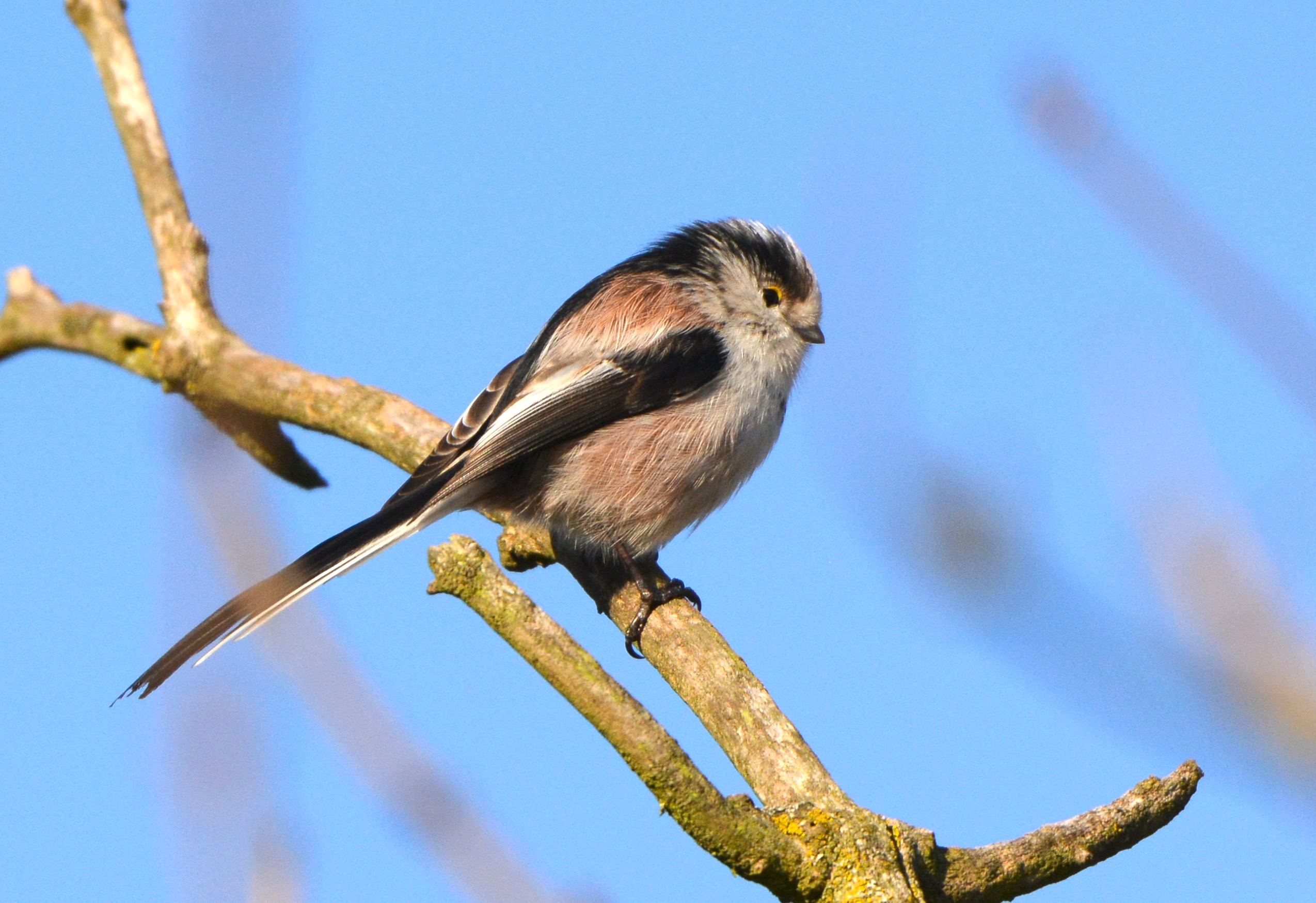 ach-wat-ben-ik-toch-mooi