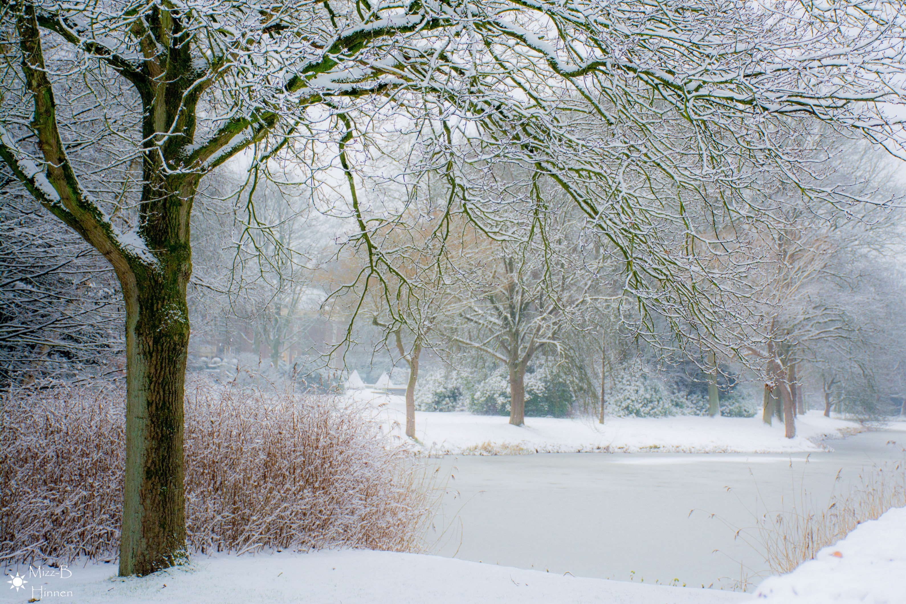 winter-wonderland-0-6