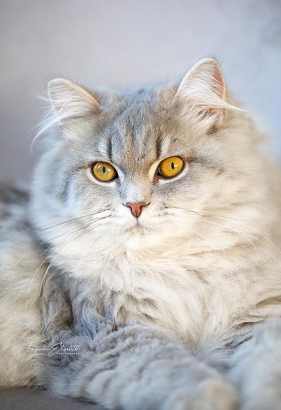 he-looks-at-the-world-like-he-already-owns-it