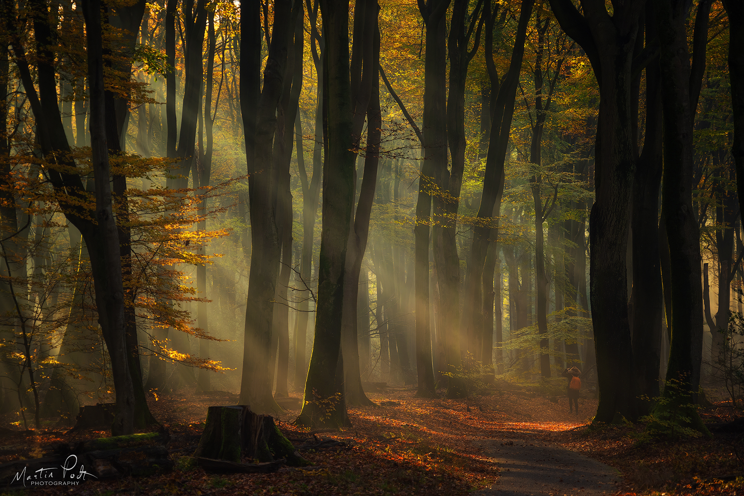 capturing-the-light