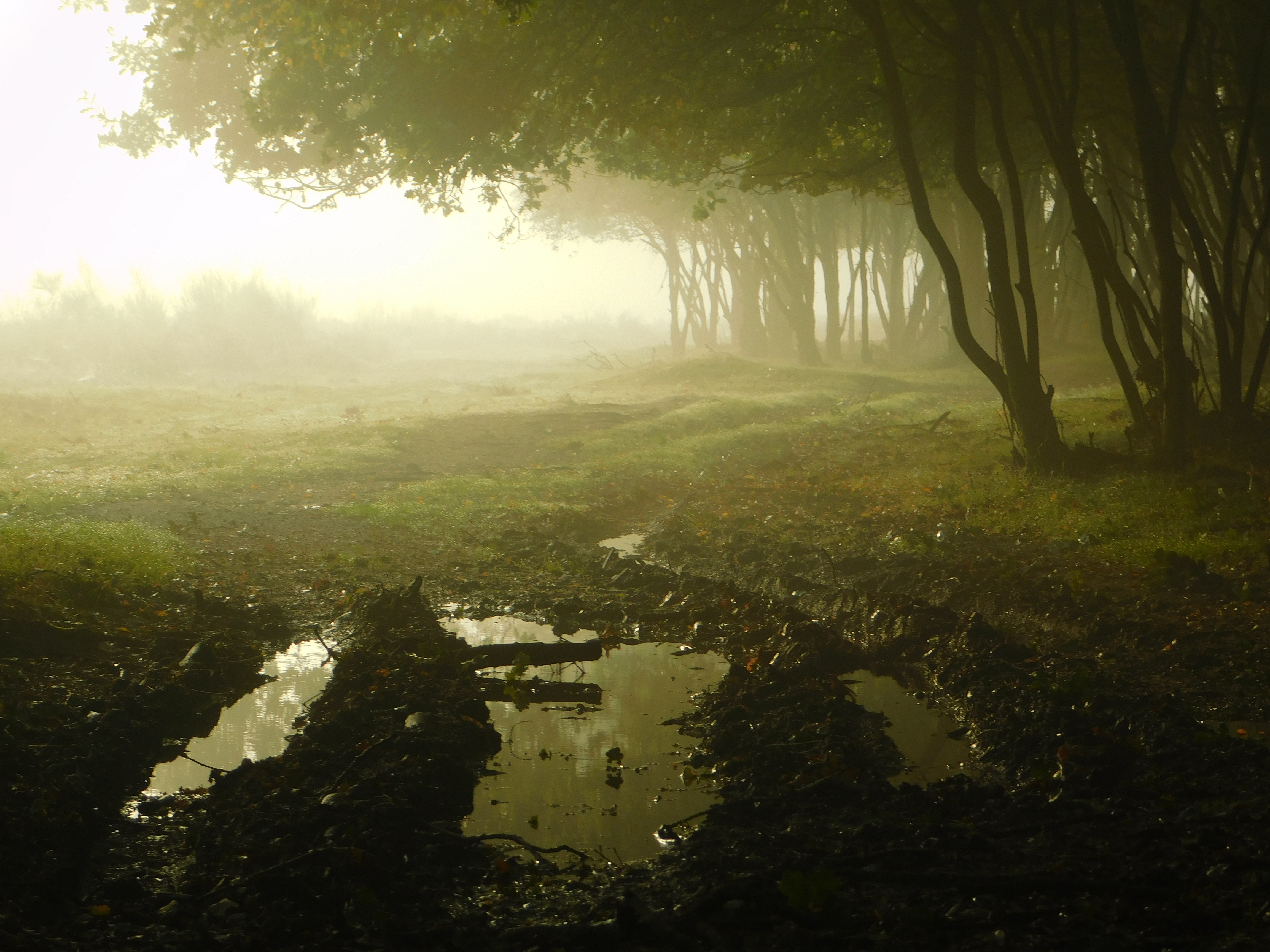 is-dat-een-grote-pootafdruk-van-een-monster