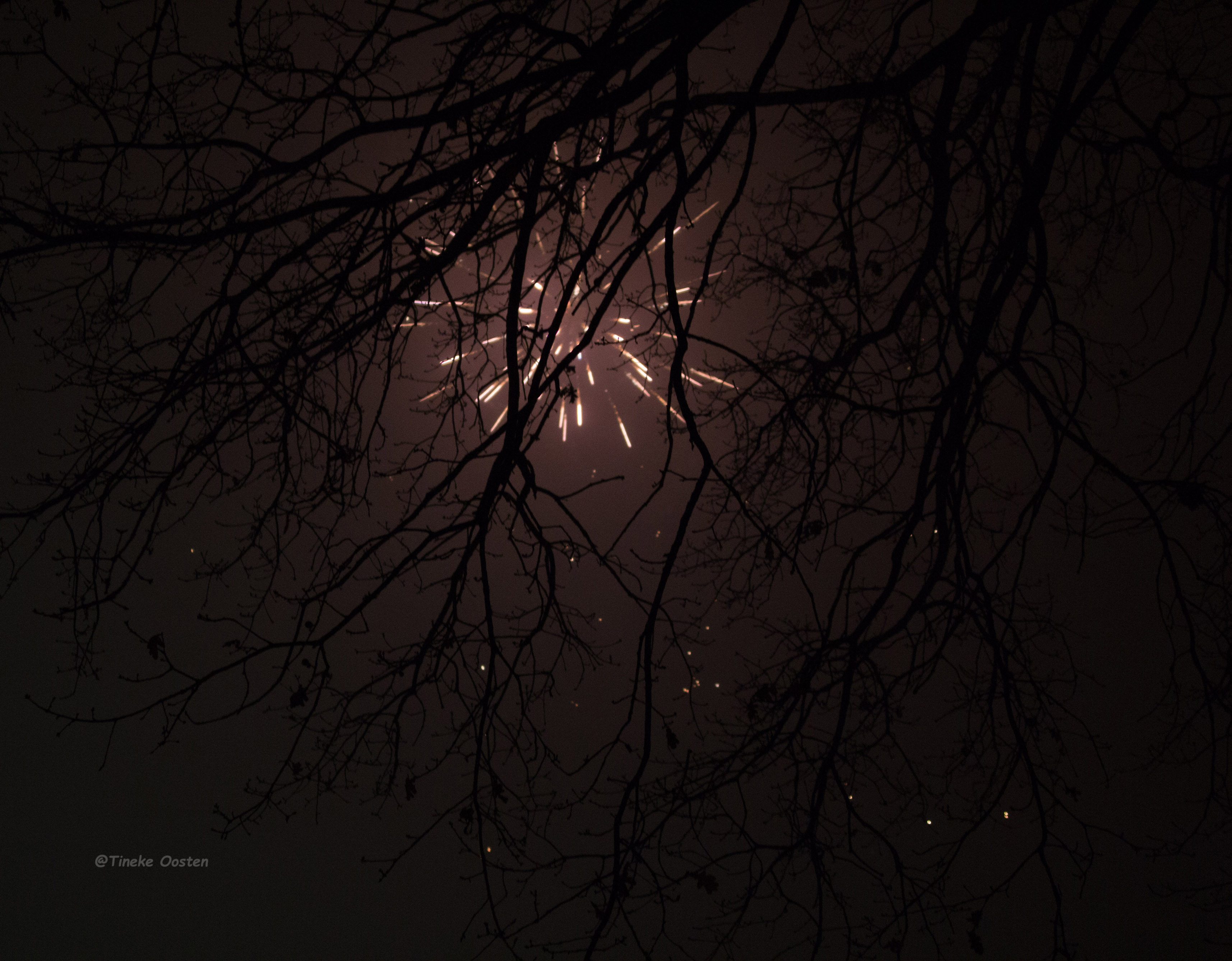 vuurwerk-tijdens-oud-en-nieuw