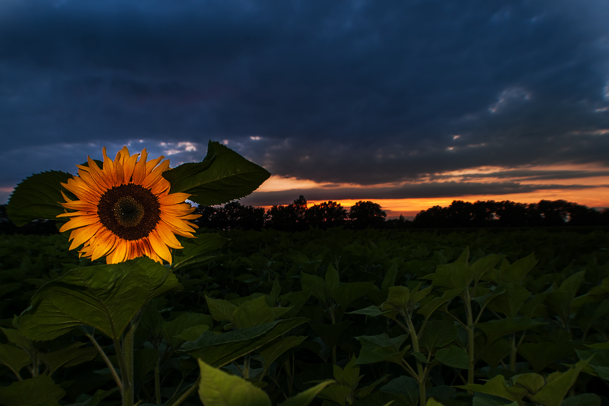 zonsopkomst-in-de-zonsondergang