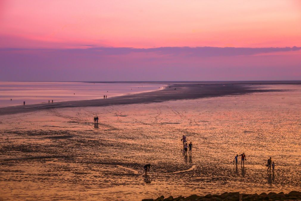 unieke-kans-workshop-landschapsfotografie-op-de-waddenzee