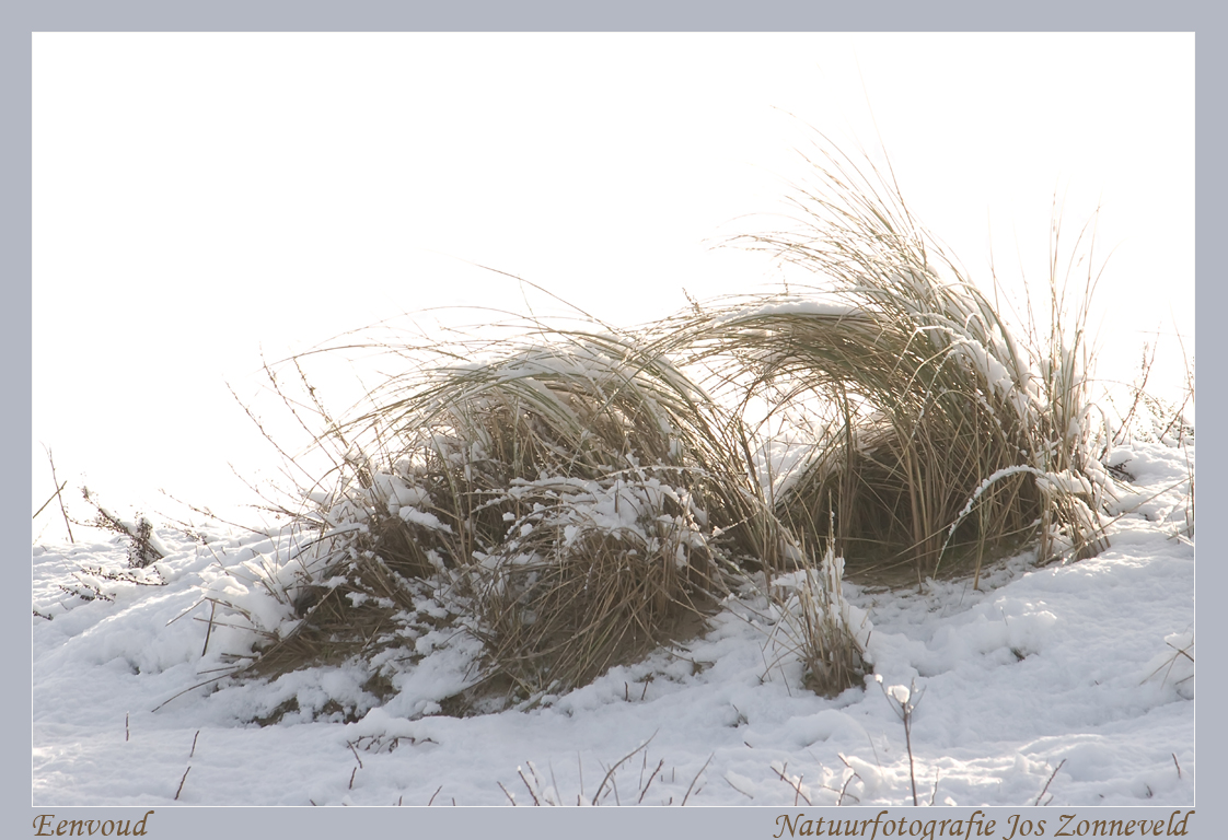 buigzaam-maar-niet-breekbaar