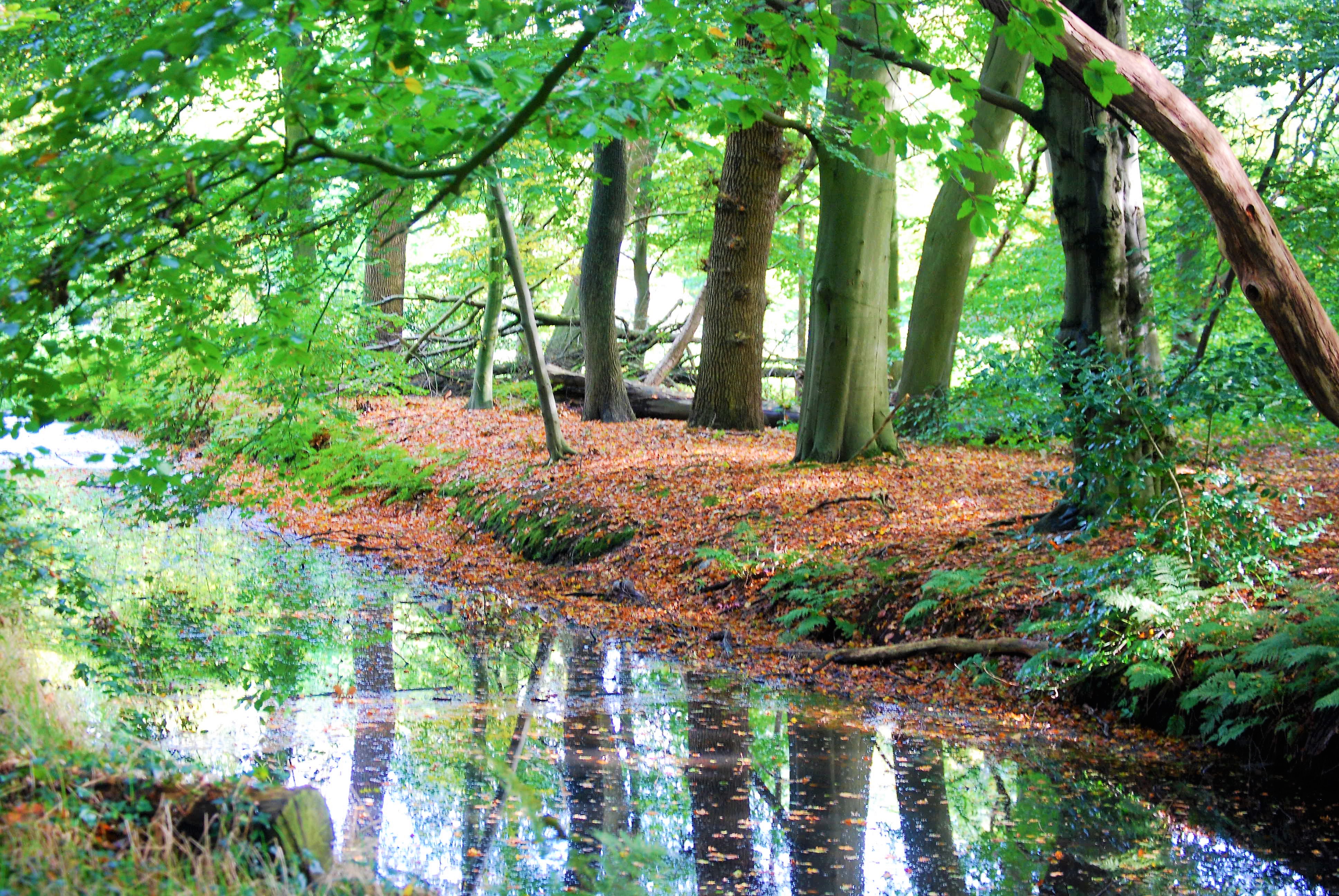 herfst-kleuren-zo-mooi