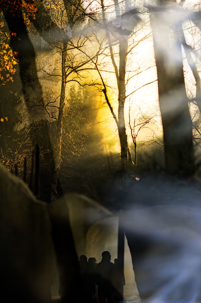 door-spannend-herfstlicht