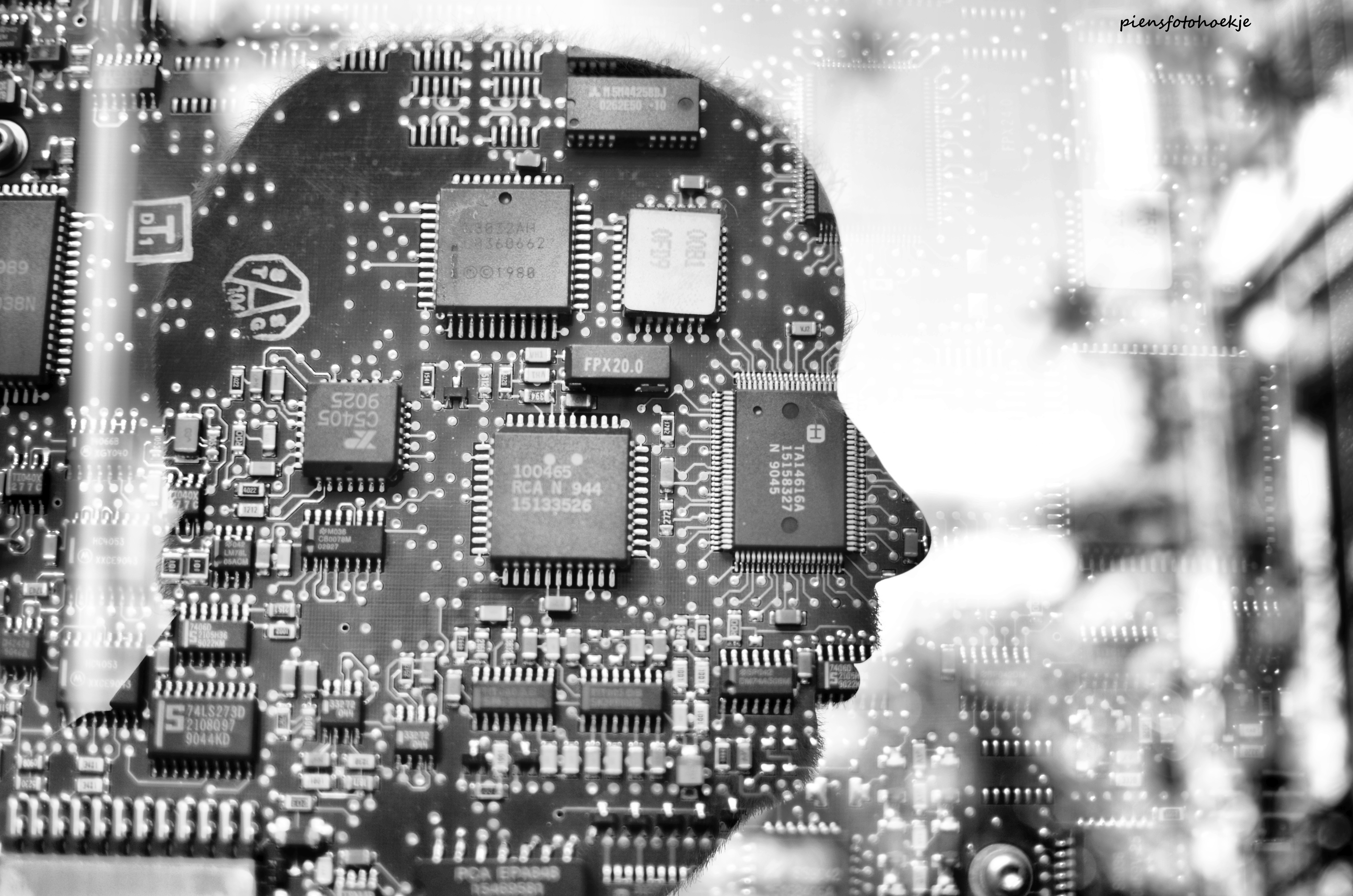 hitchcock-cyber-crime