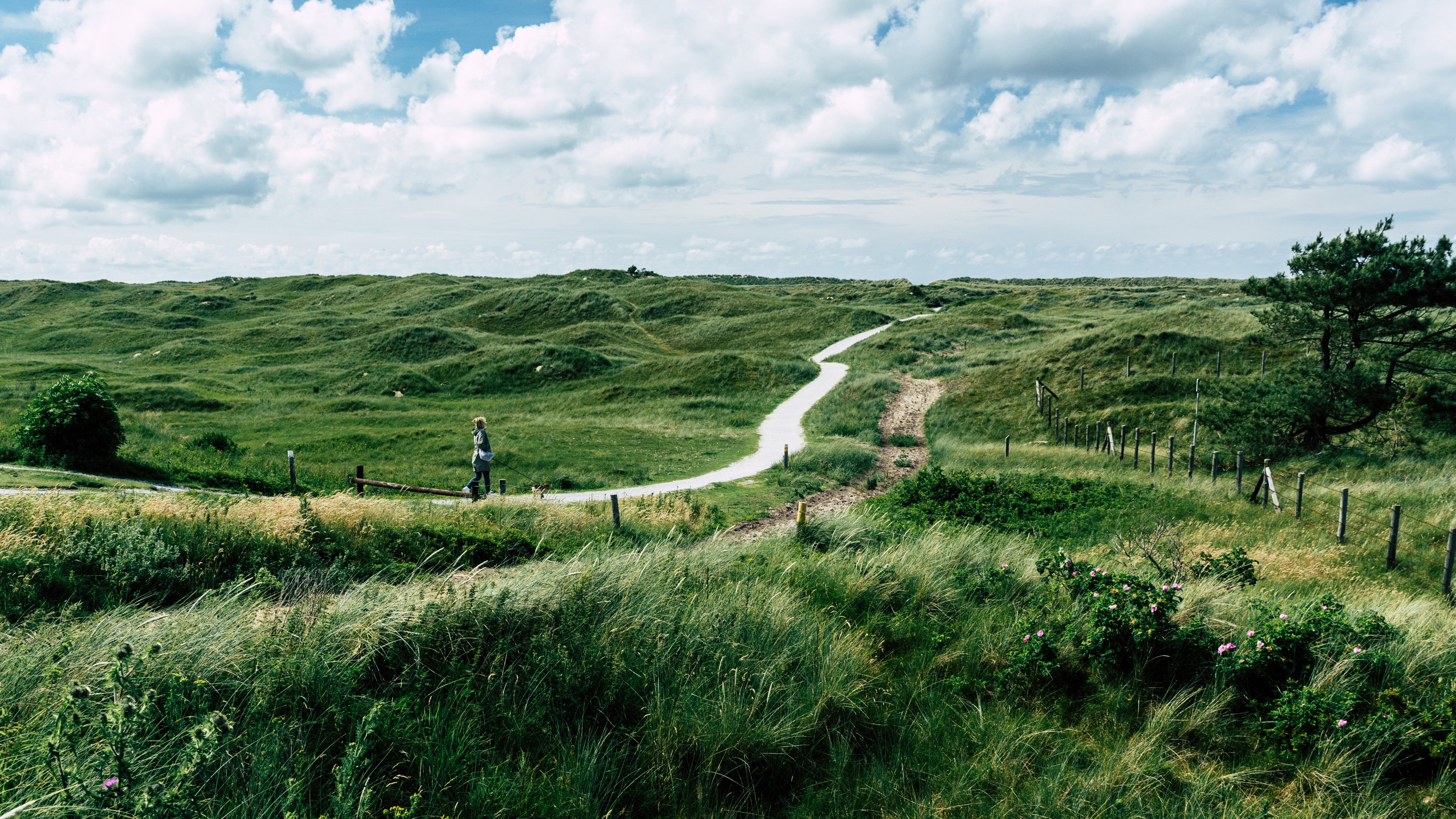 duinen-op-ameland