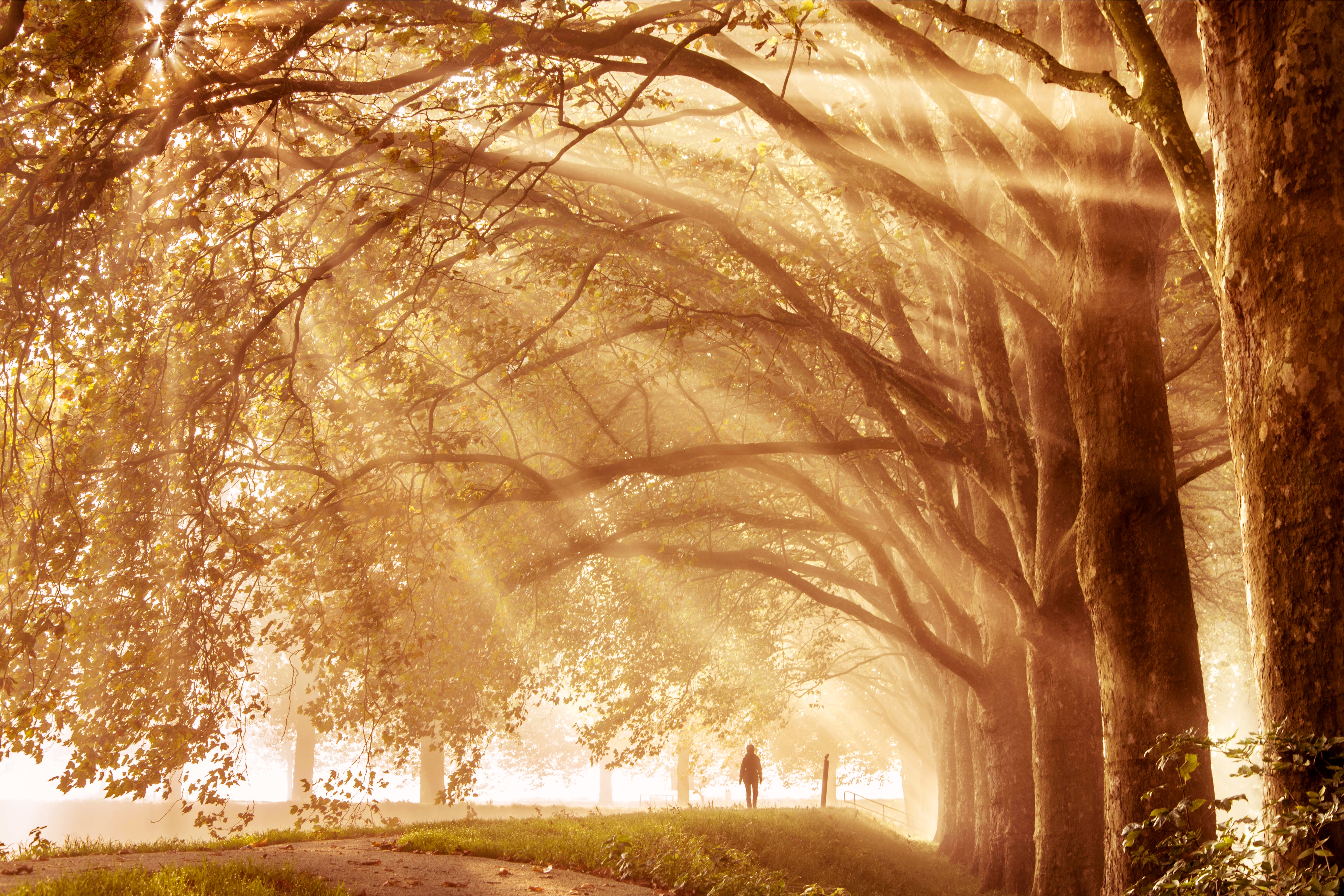 het-regent-zonnestralen-3