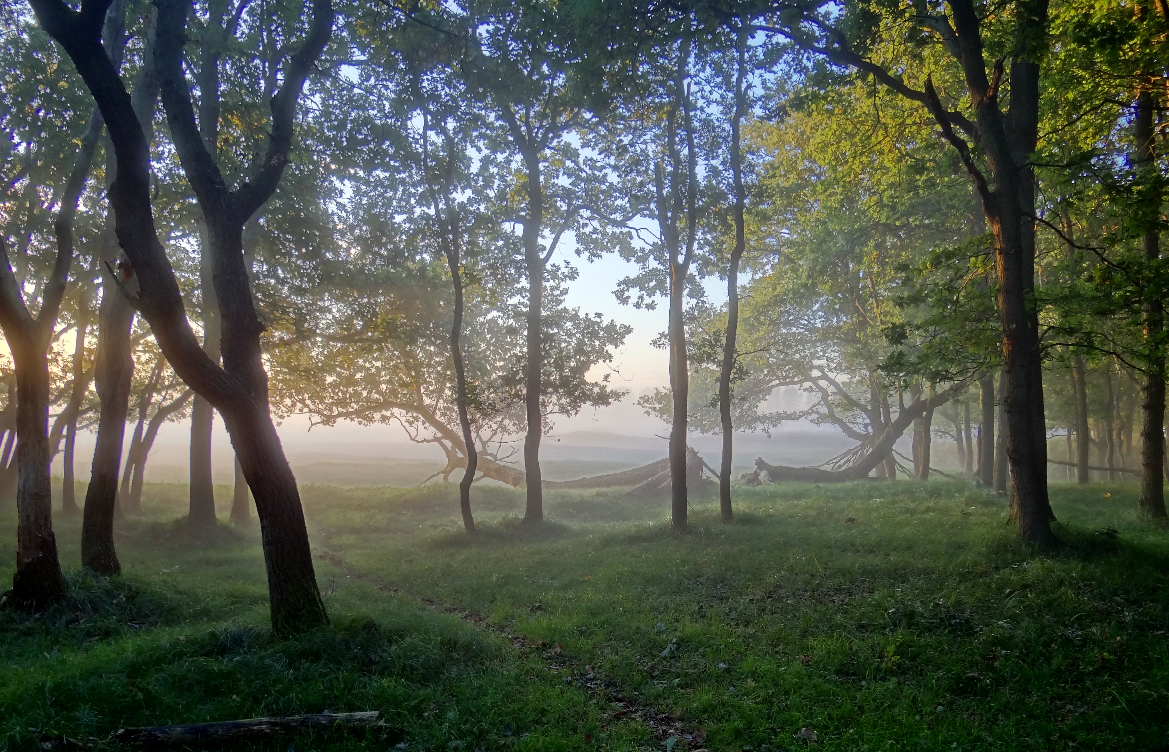 misty-september-morning