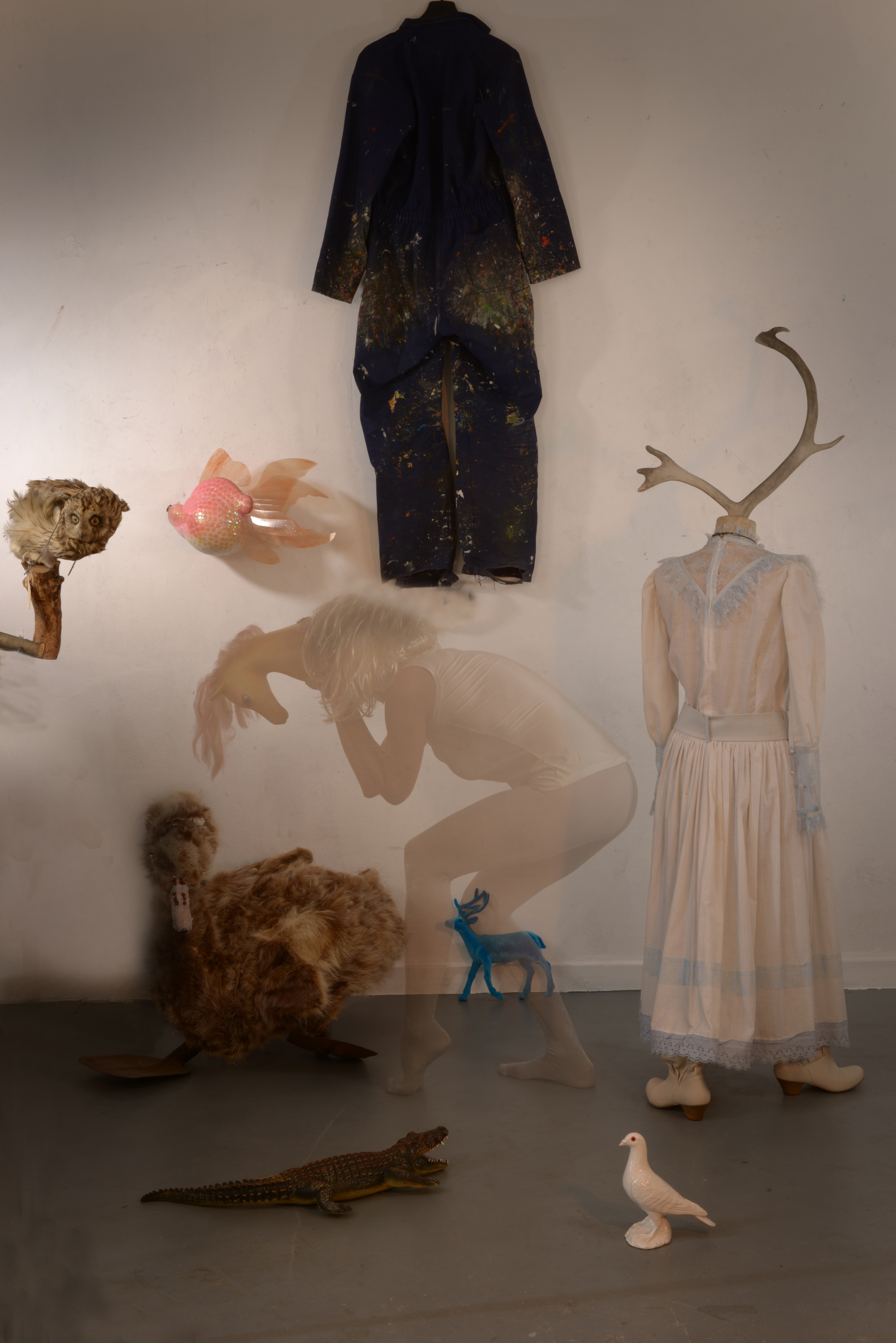 pegasus-en-de-nieuwe-dieren