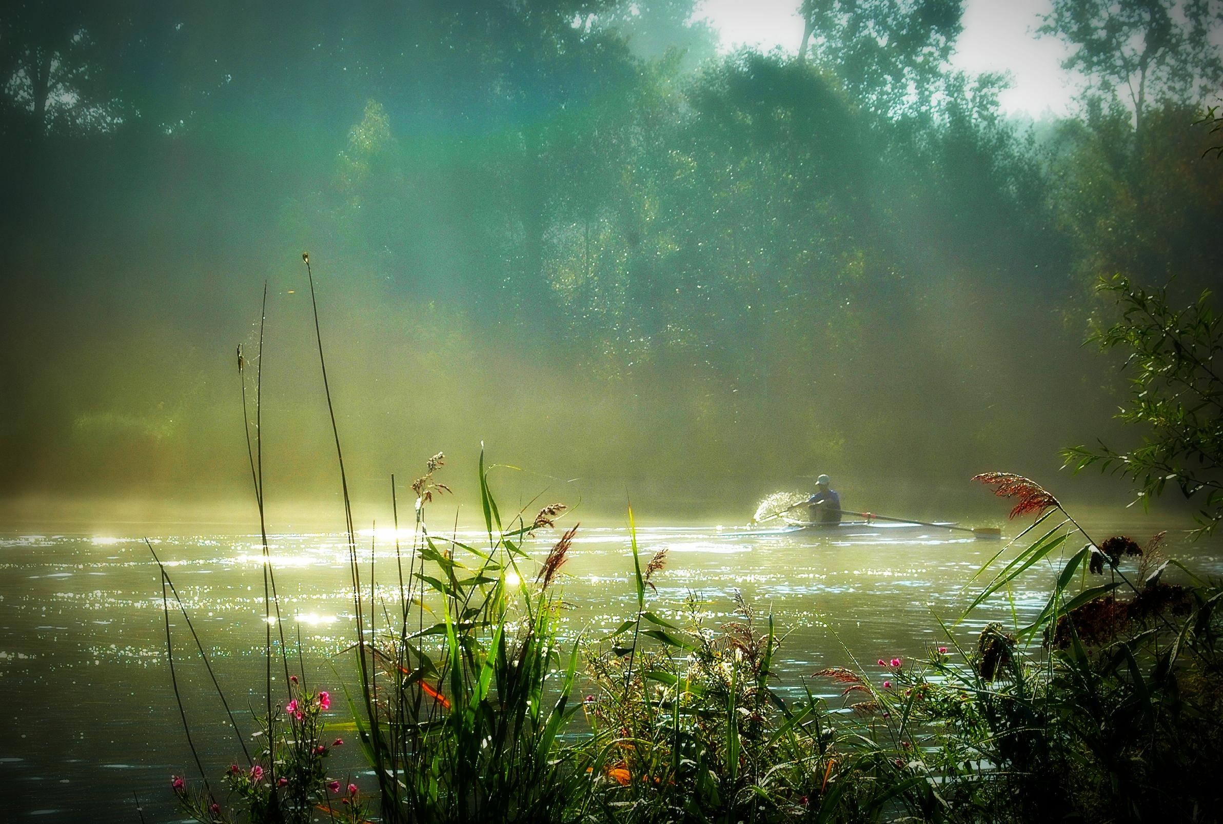 early-softtone-rowing