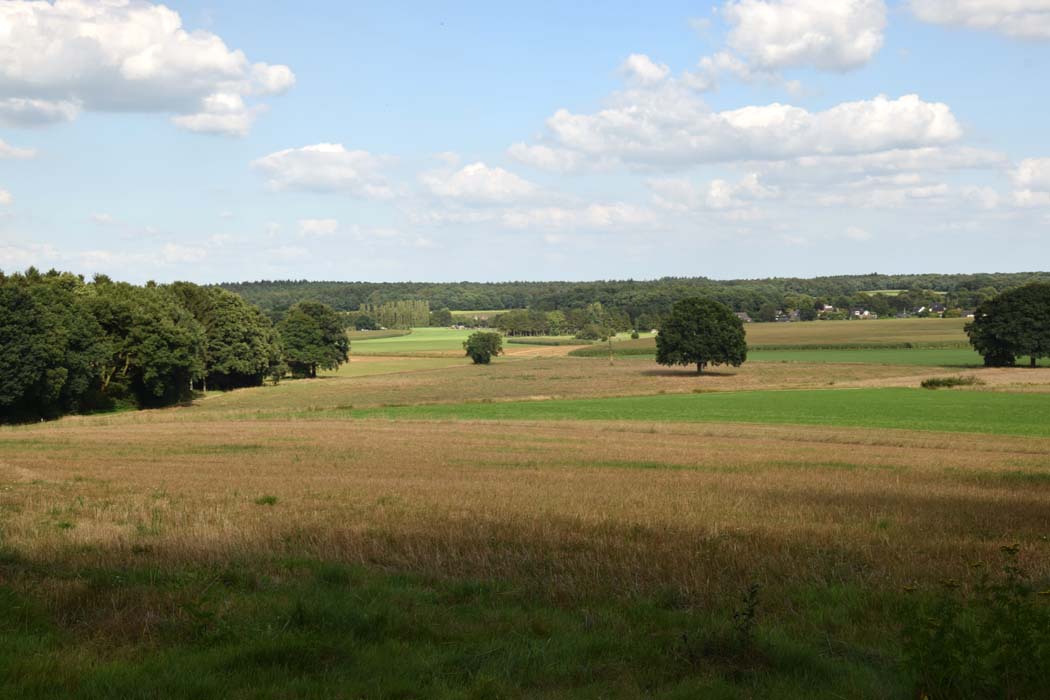 montferland-vanuit-het-bos-gekomen
