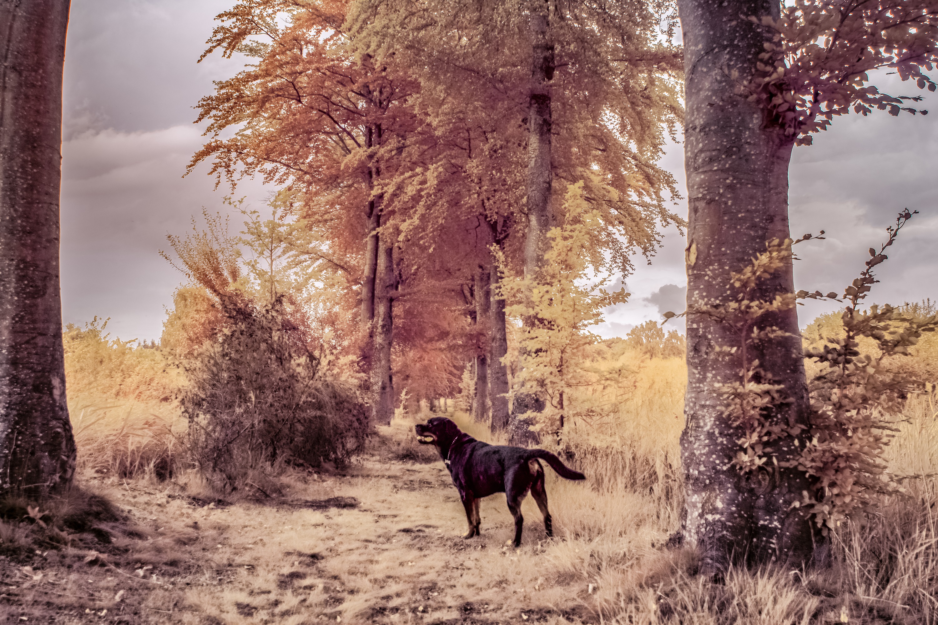 goodbye-summer-hello-autumn-in-full-spectrum