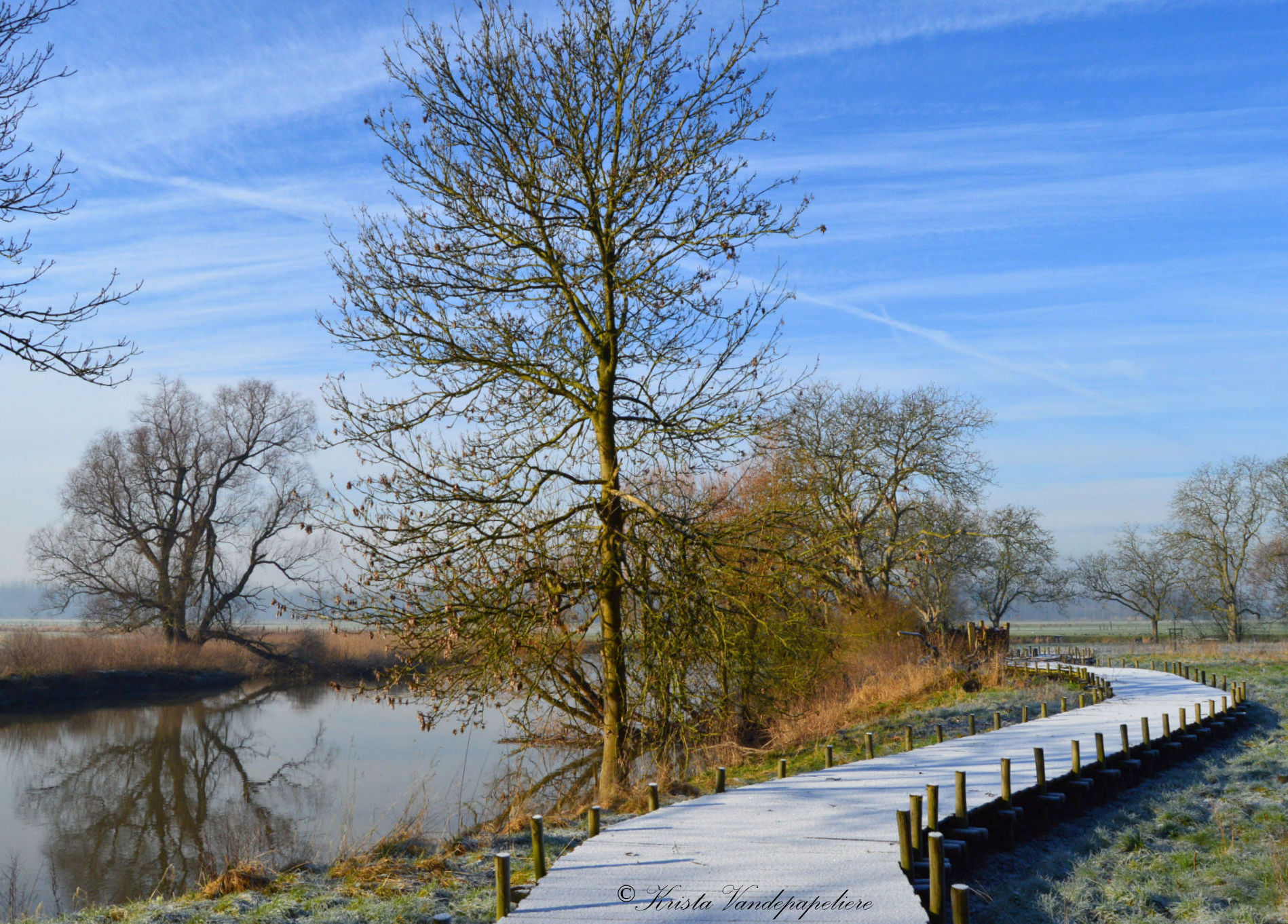 winterlandschap-11