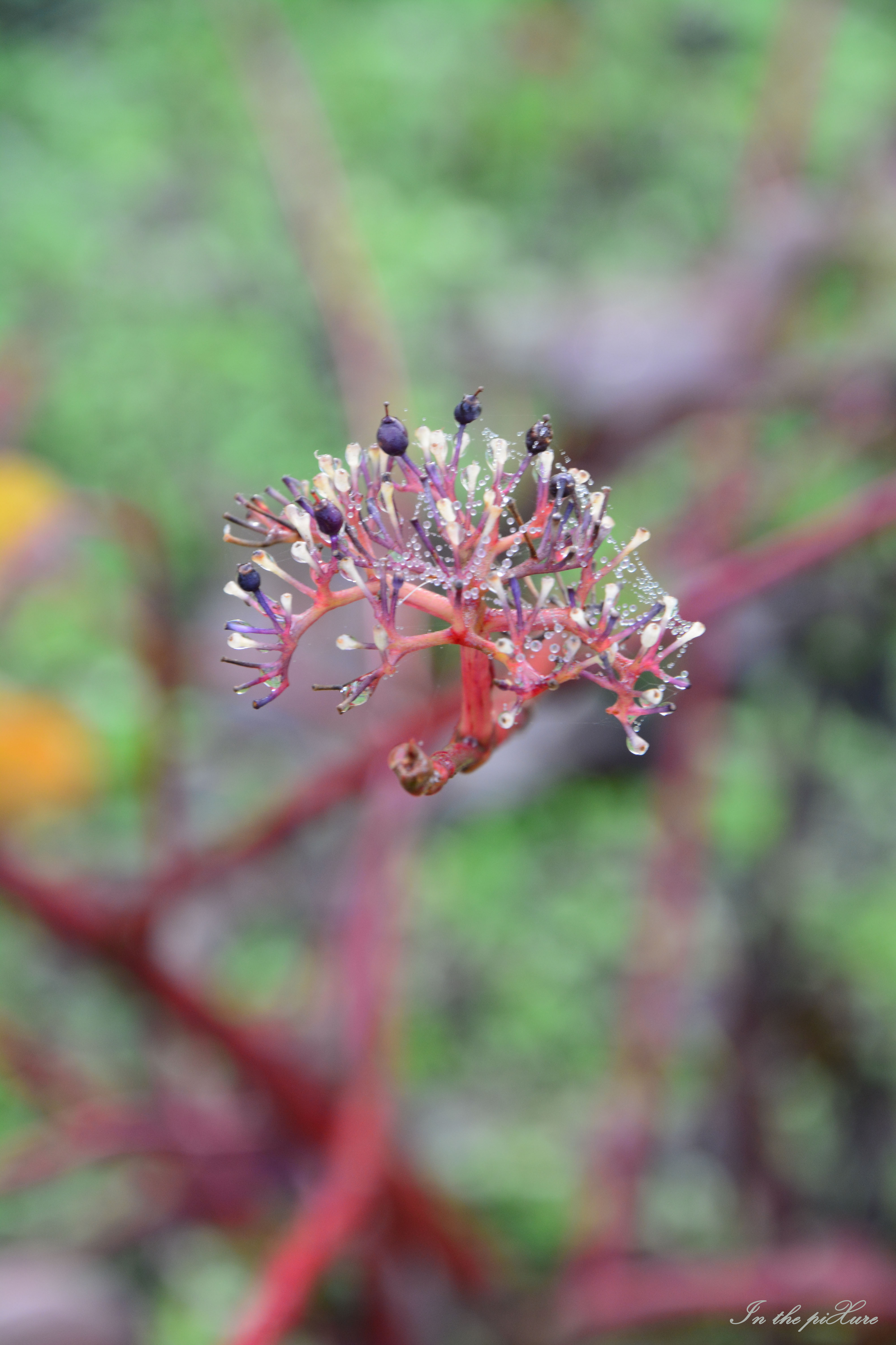 natuur-in-het-nieuwlandpark