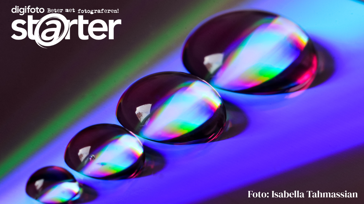 van-jonge-fotograaf-naar-eerste-expositie