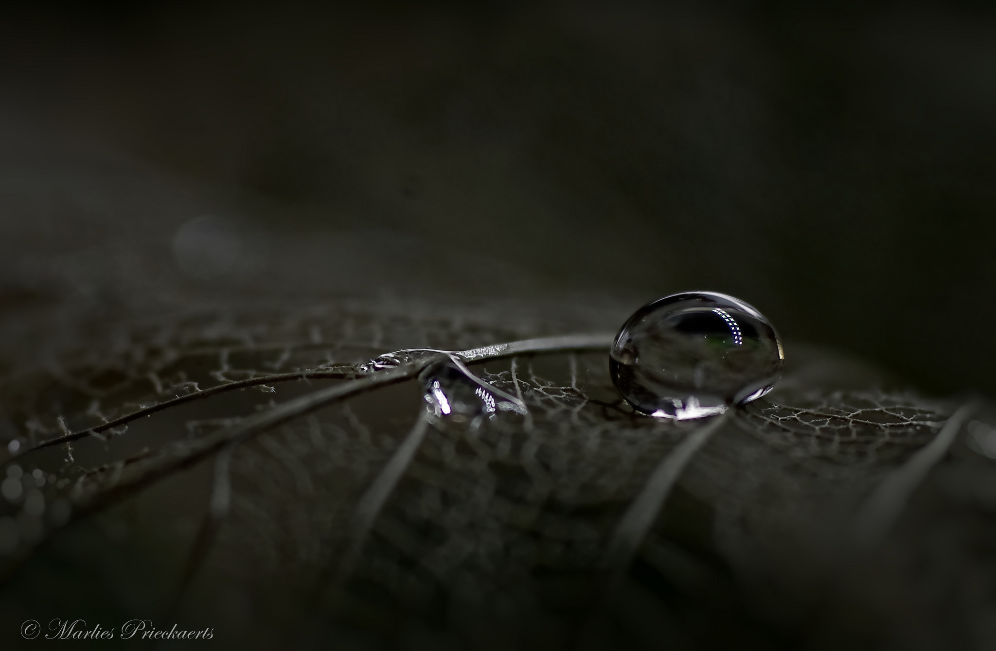 na-regen-komt-er-vast-zonneschijn