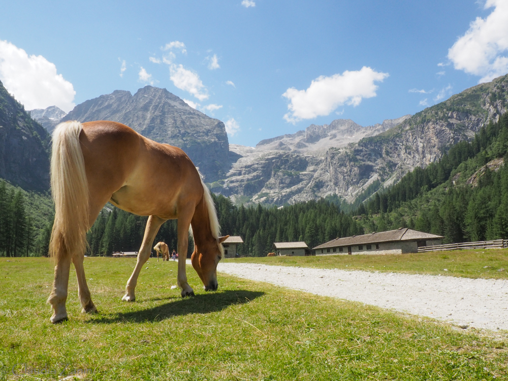 je-blijft-kijken-in-het-val-di-genova