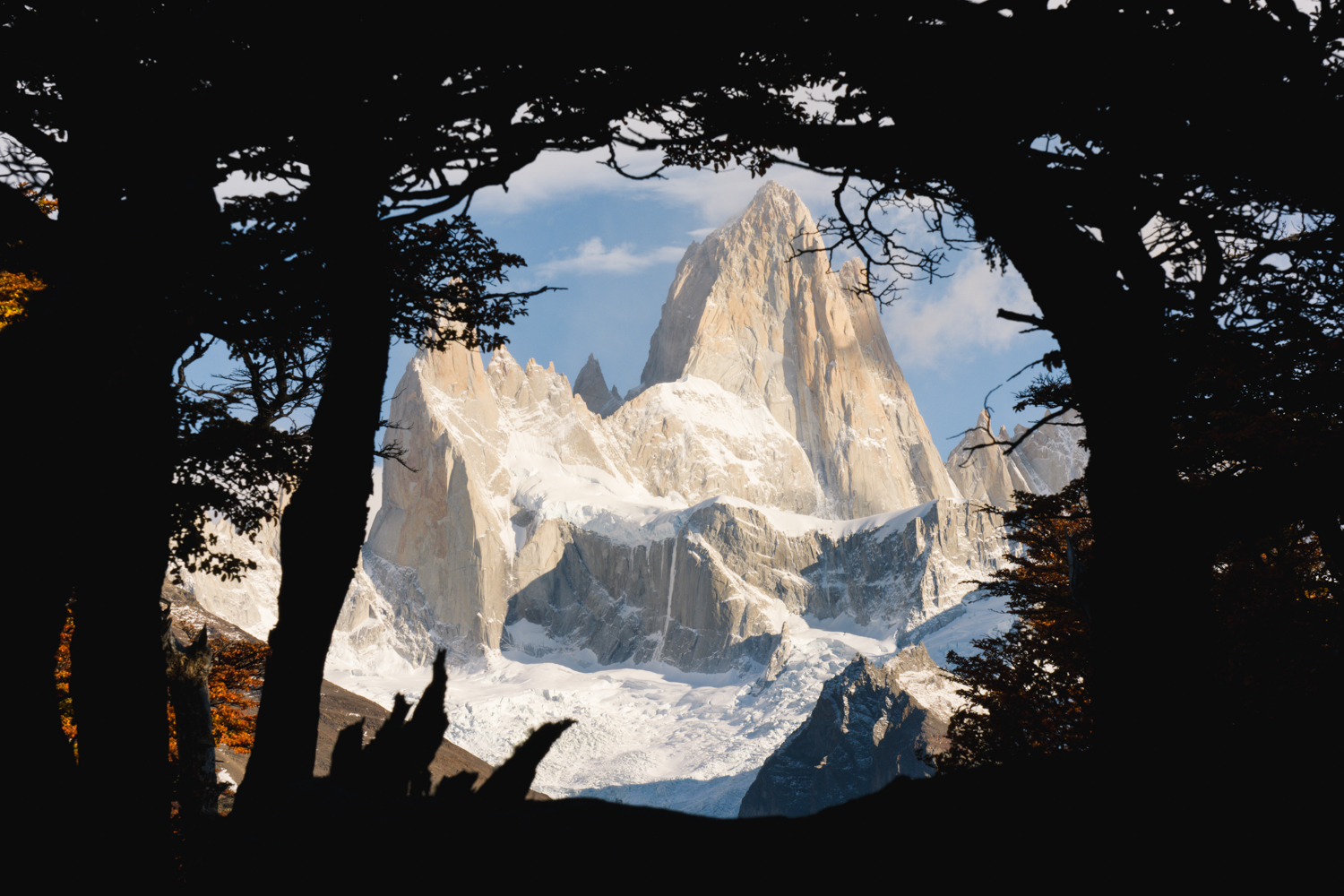 almost-out-of-the-woods