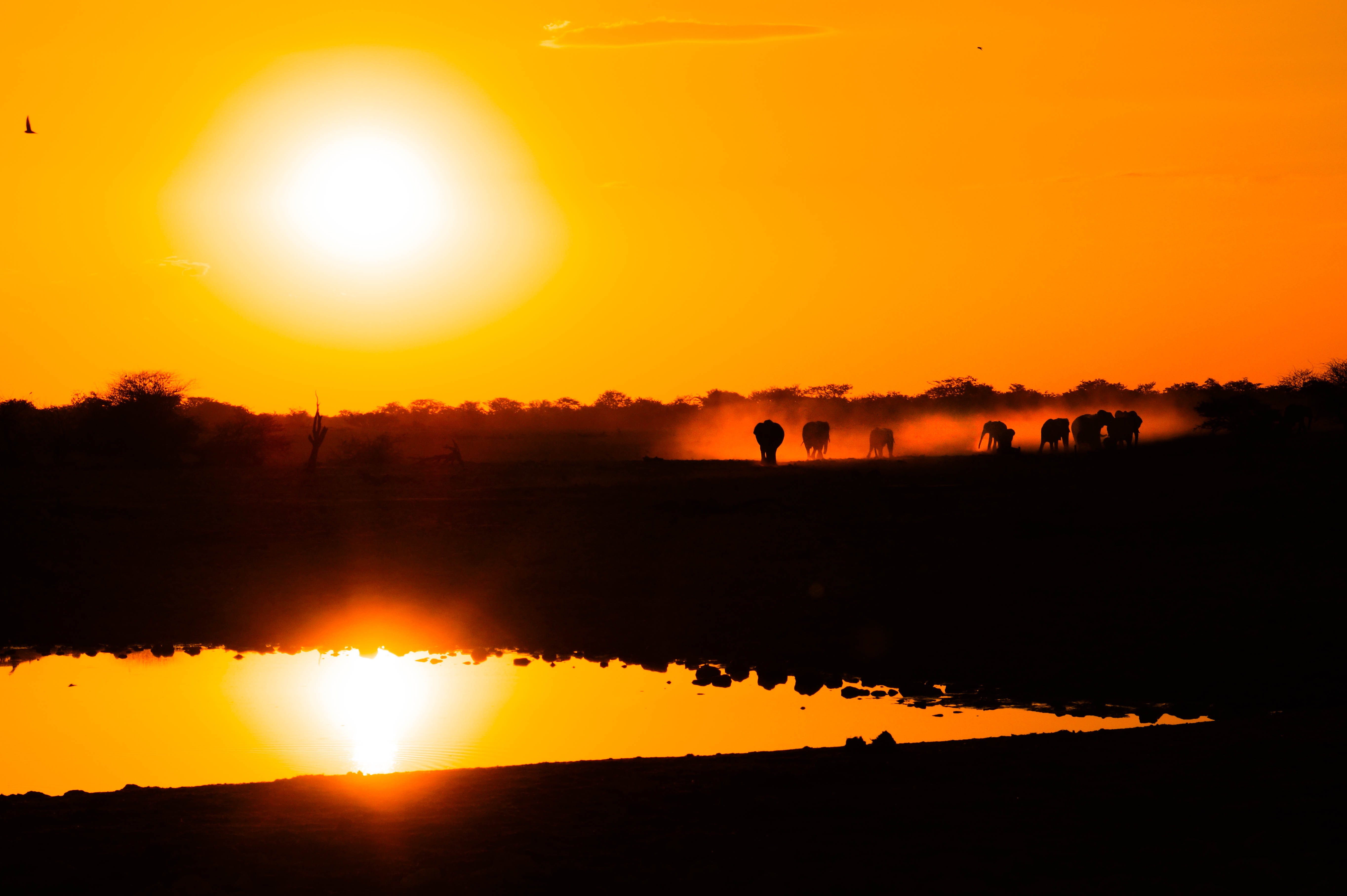 sunset-at-the-waterhole