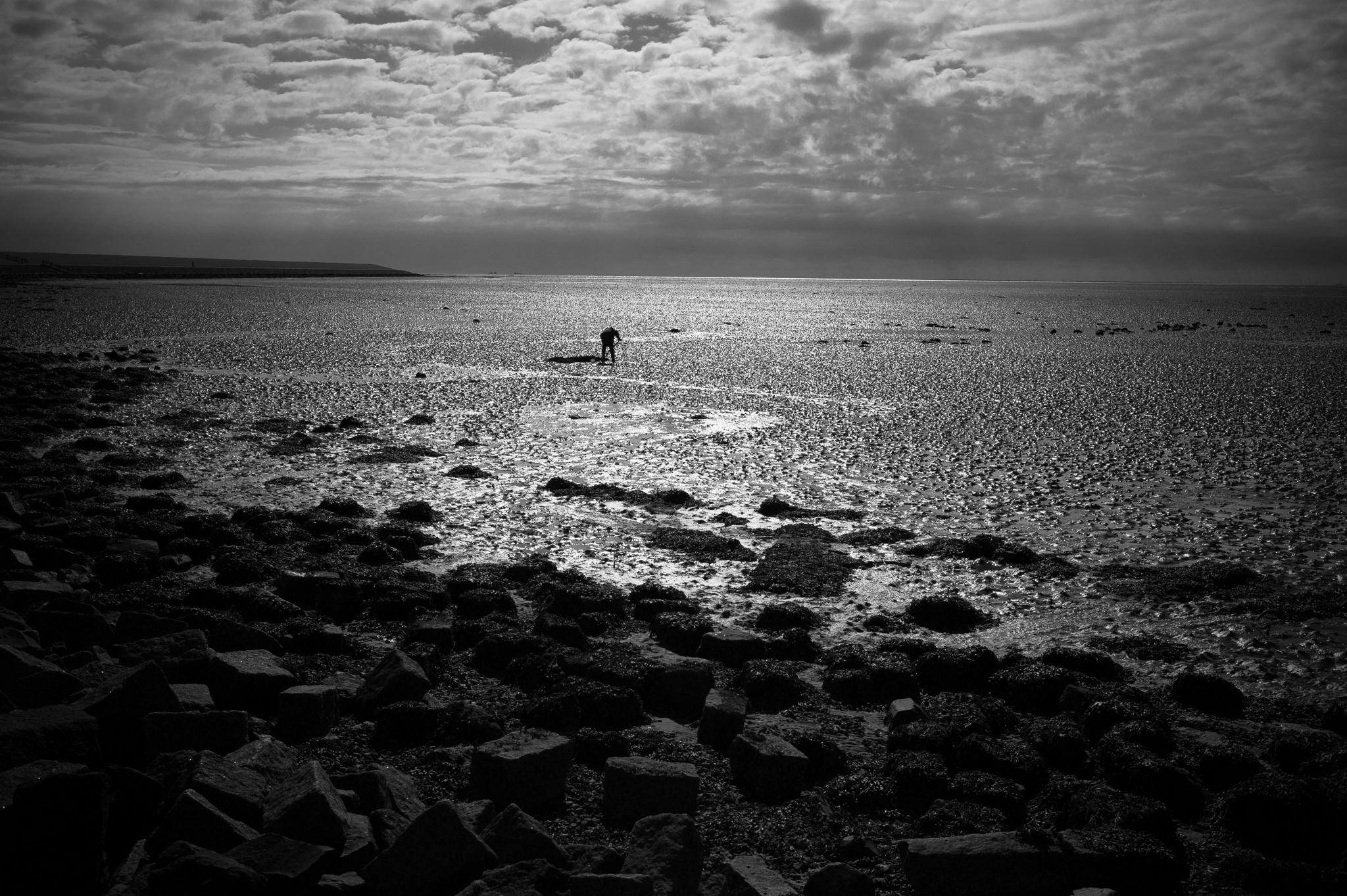 low-tide-in-the-waddenzee