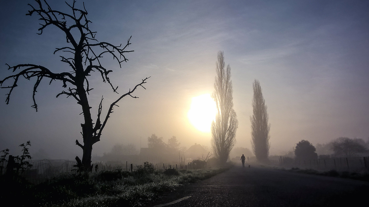 op-weg-naar-de-bushalte
