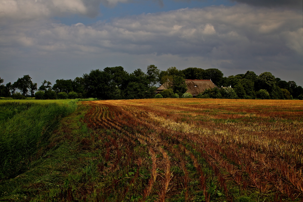 schaphalsterzijl-omgeving-winsum-gn