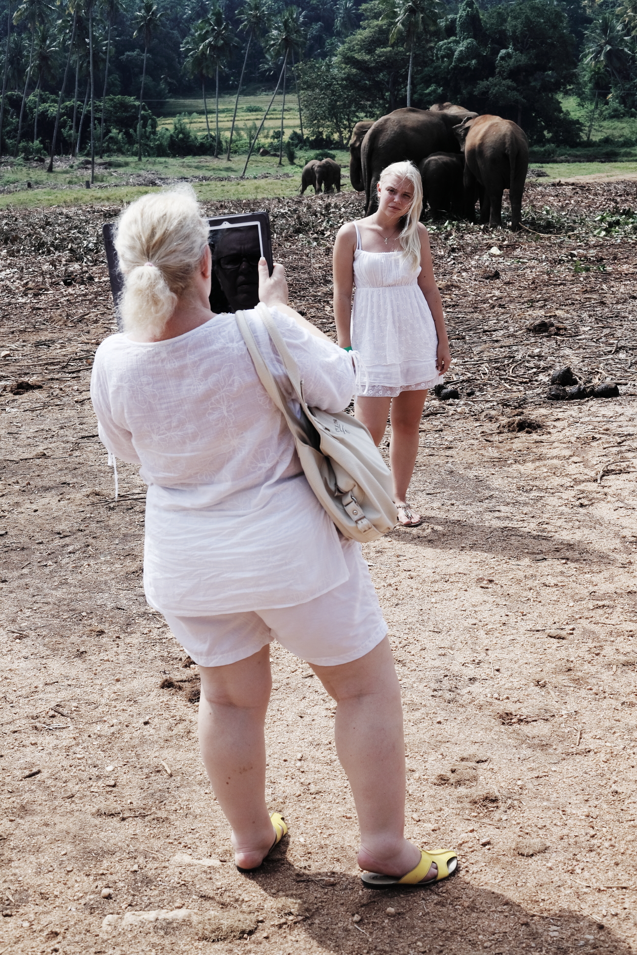 pinnawela-elephant-orphanage-sri-lanka