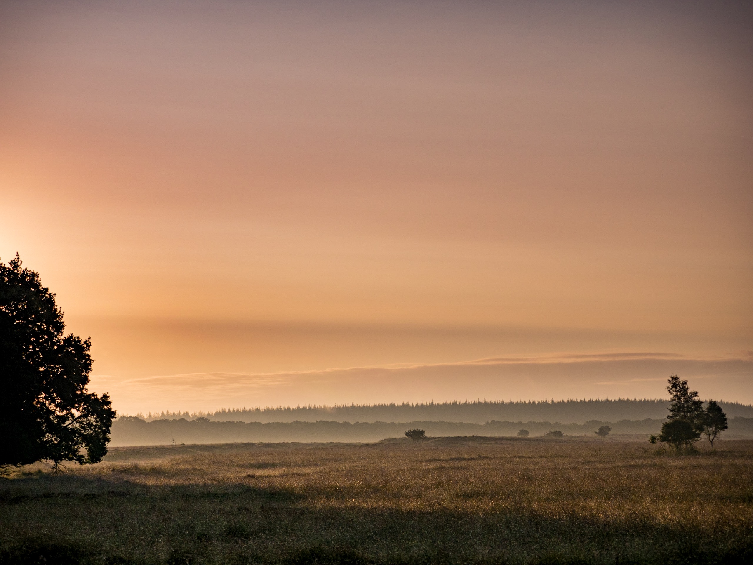 zonsopkomst-boven-nationaal-park-de-hoge-veluwe