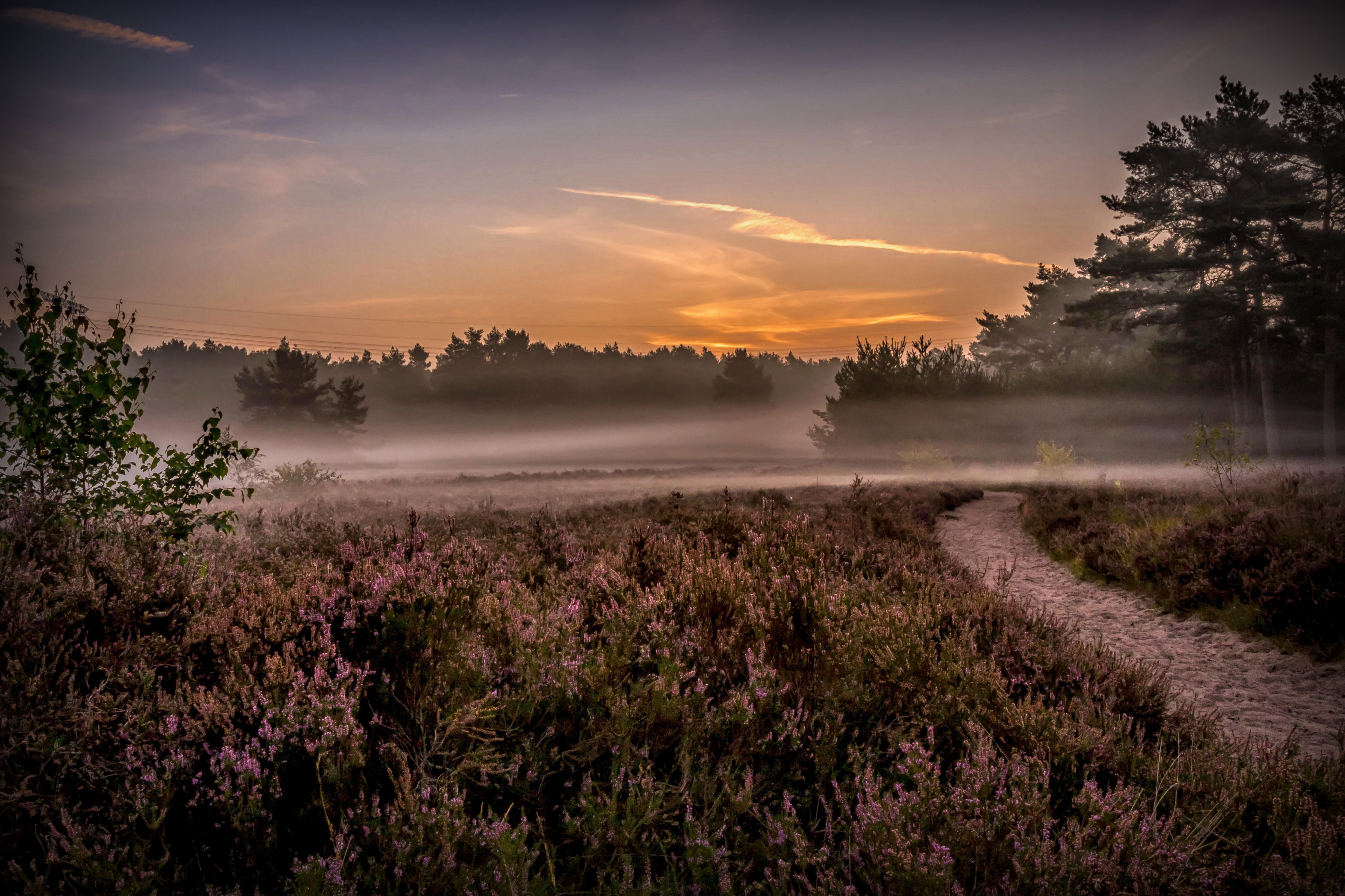 mistige-zonsopkomst-1