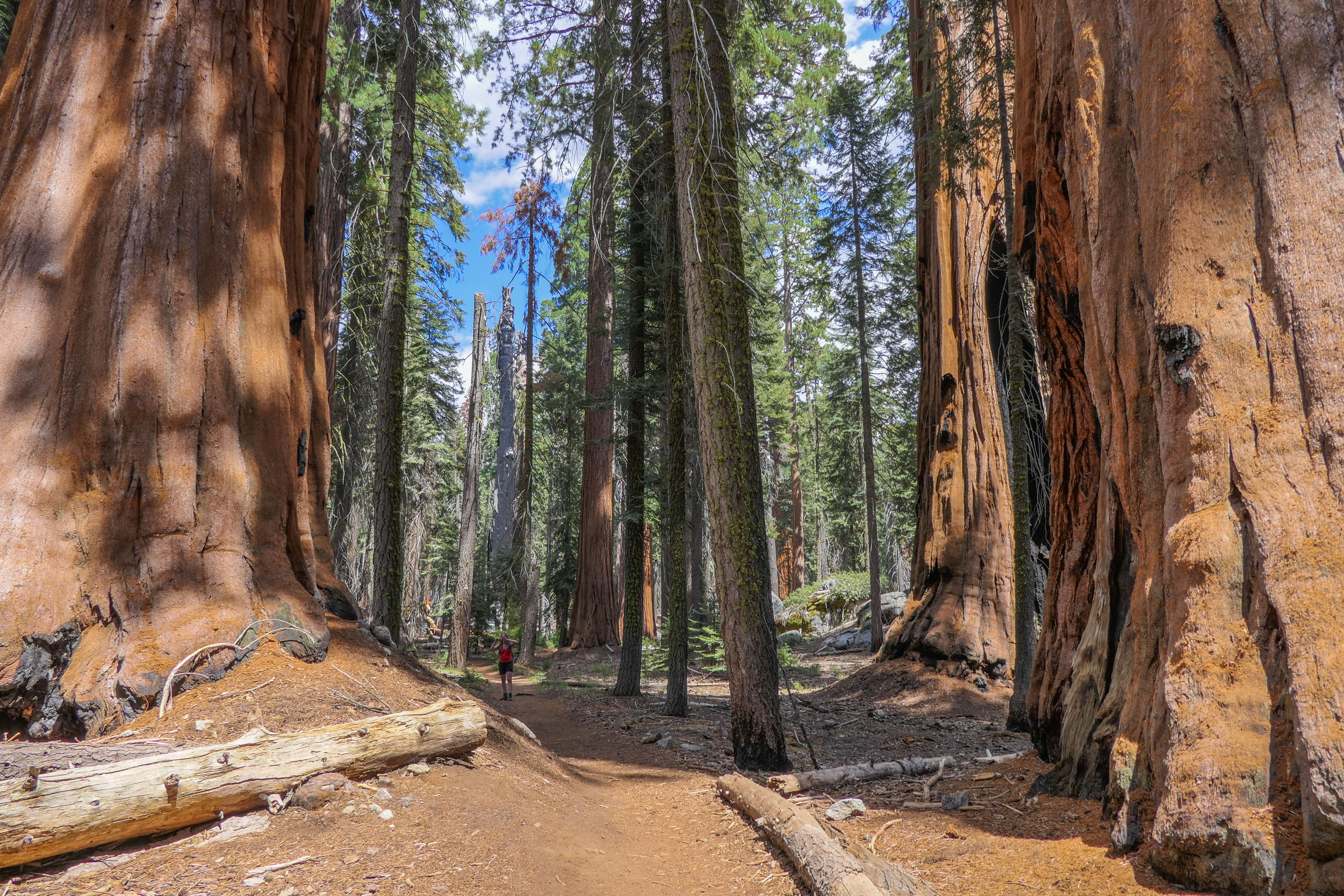 hoe-nietig-kun-je-zijn