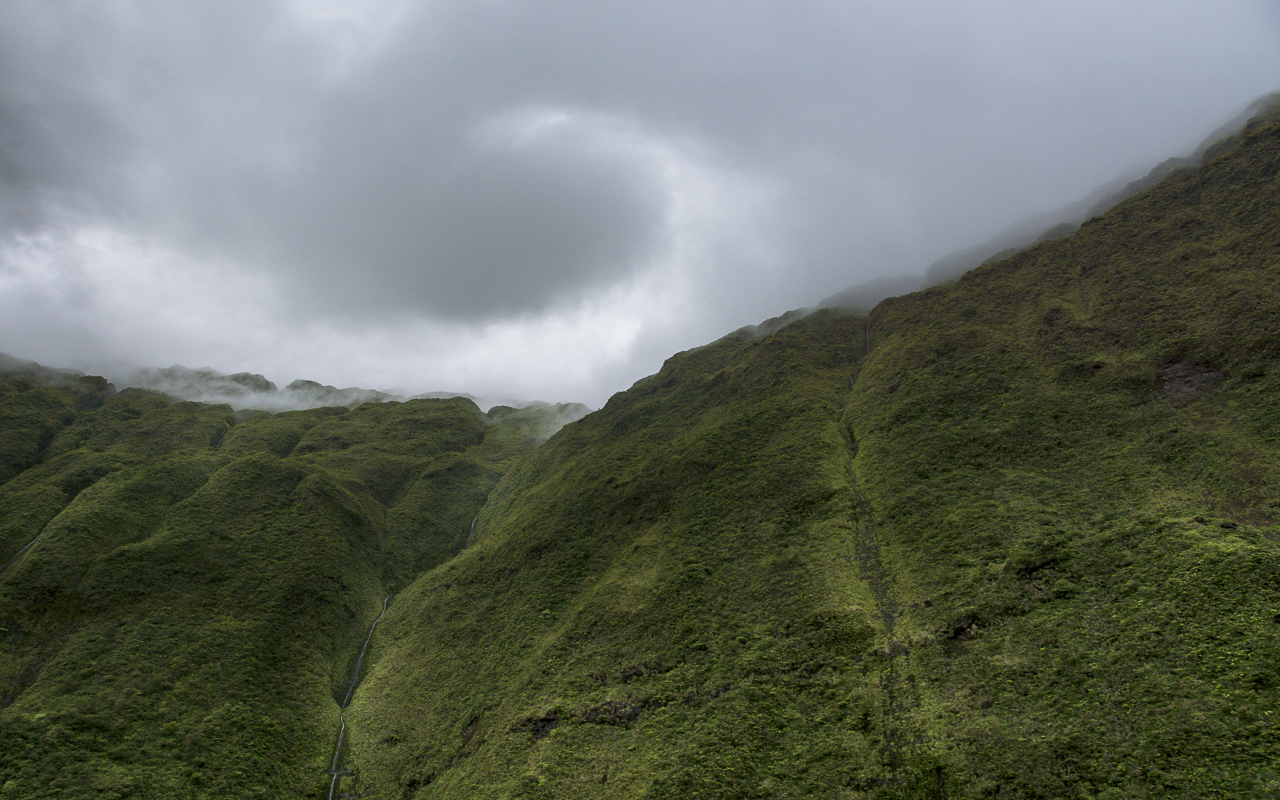 lihue-koloa-forest-reserve-hawaii-2017