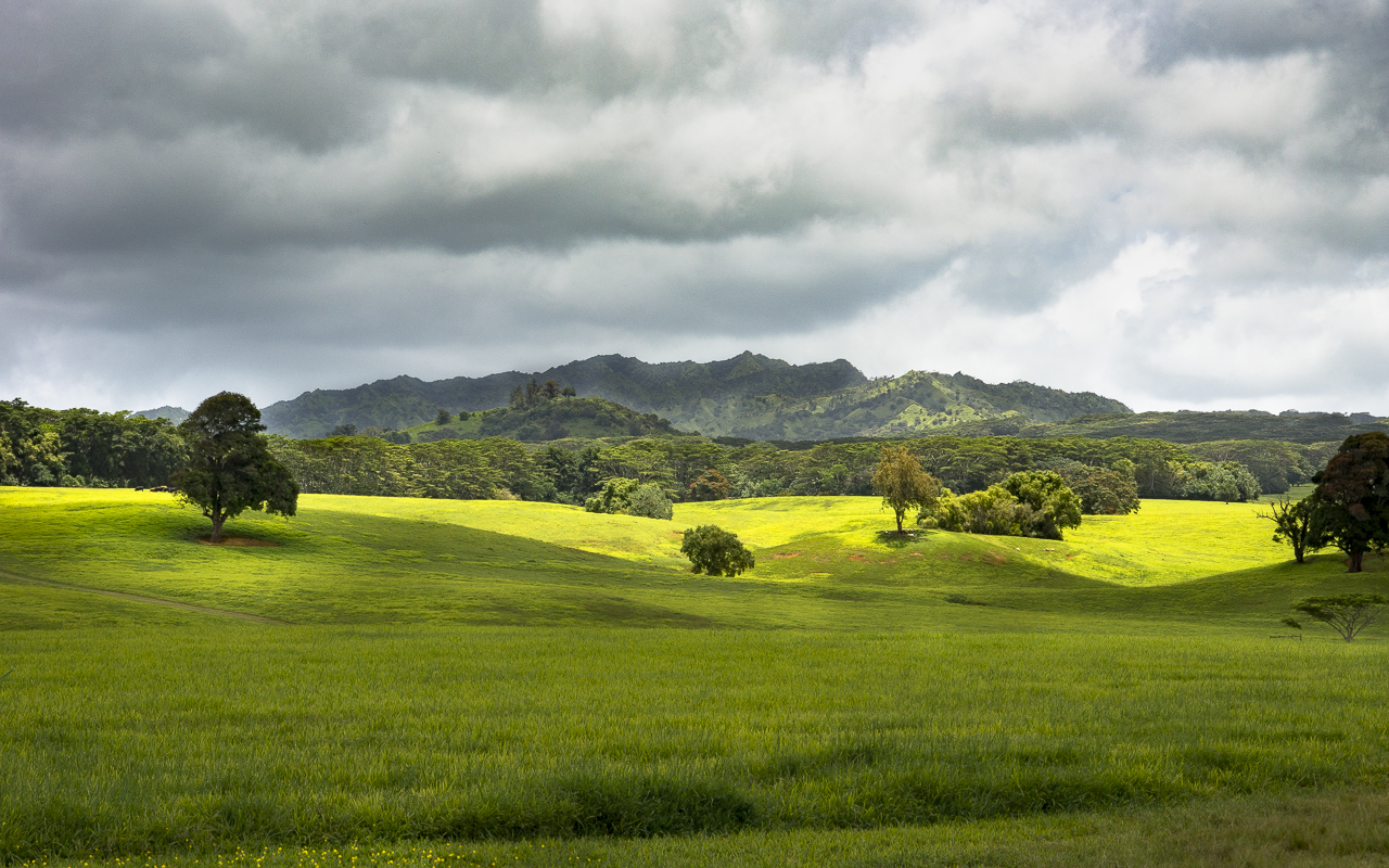 uitzicht-op-lawrence-ditch-hawaii-2017