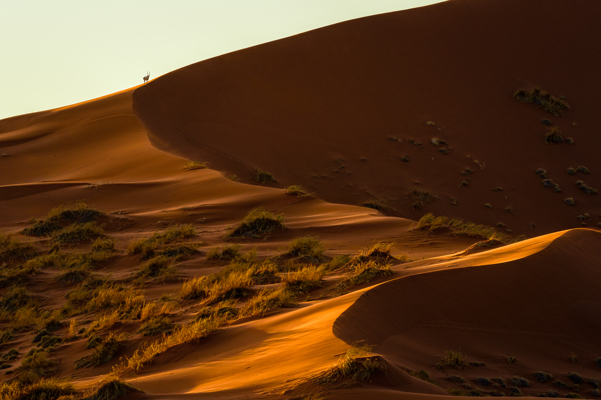 namib-desert
