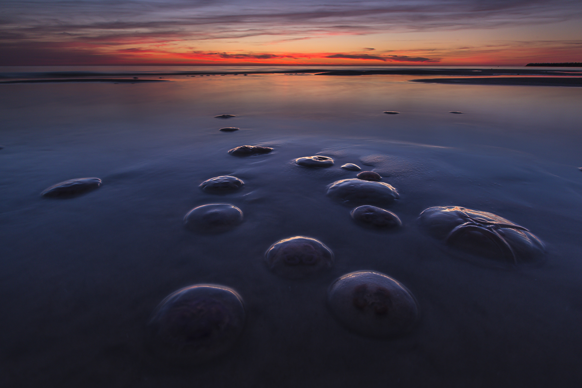 de-zee-geeft-de-zee-neemt