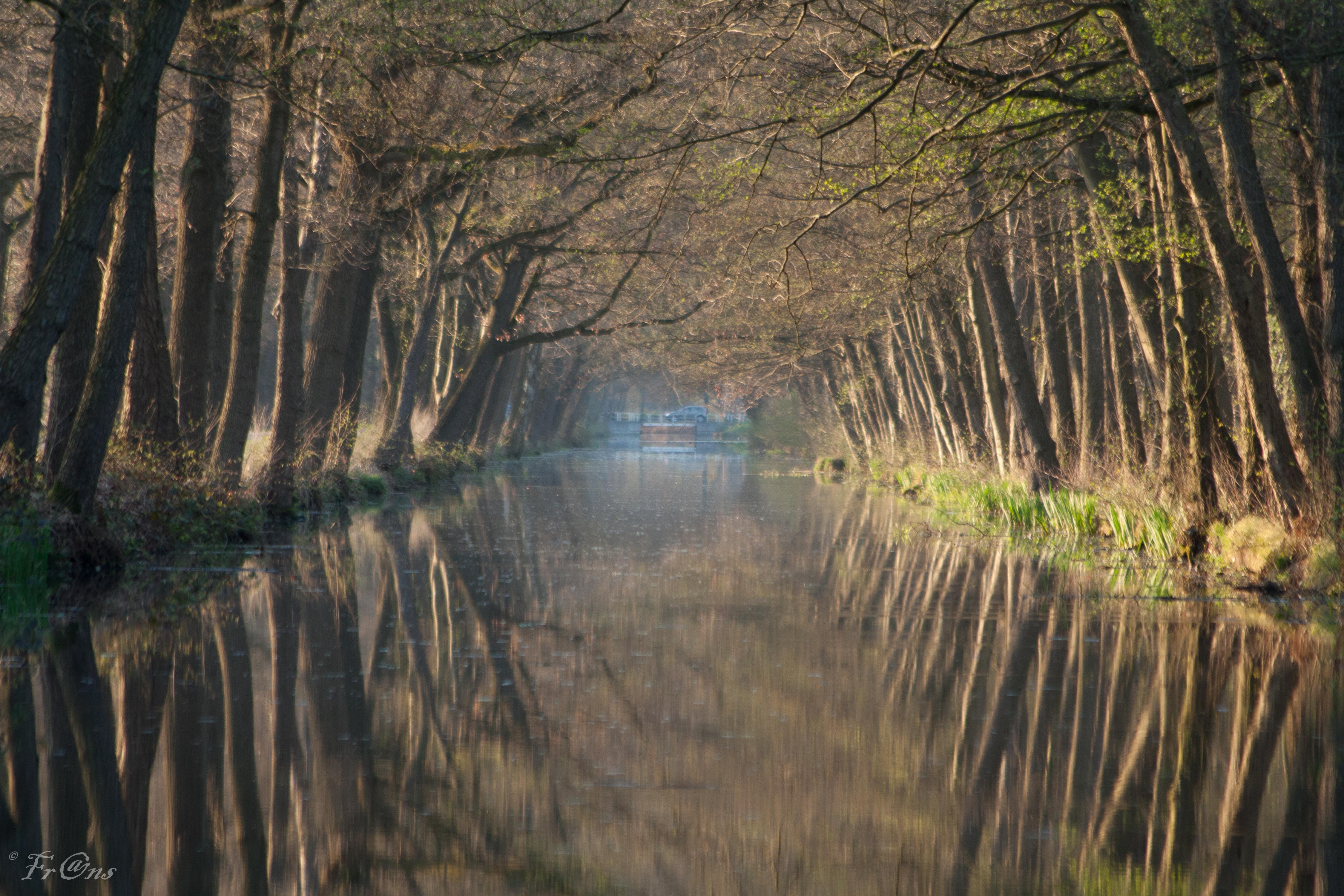 vergezicht-over-peelkanaal