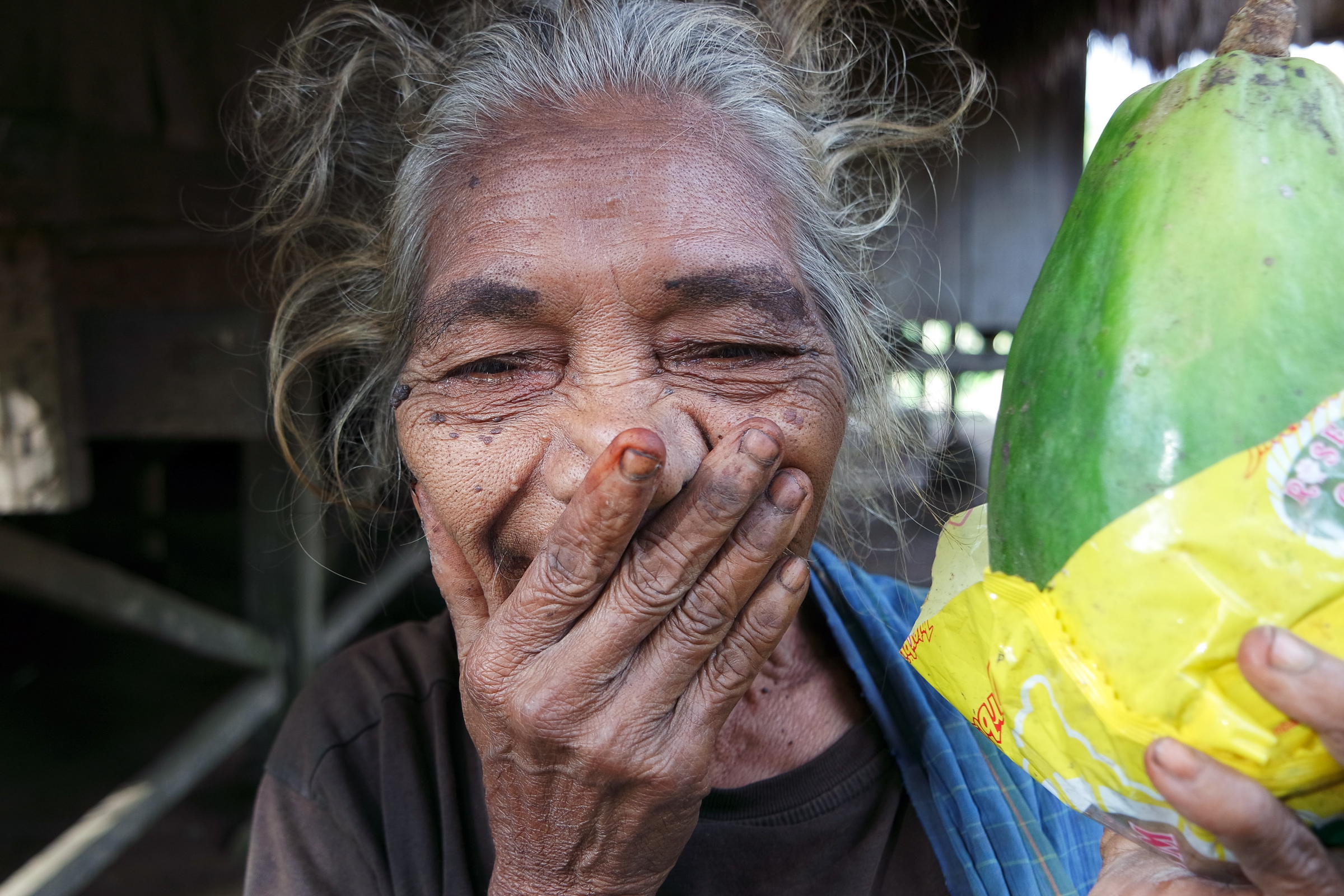 een-verse-papaya-als-gift