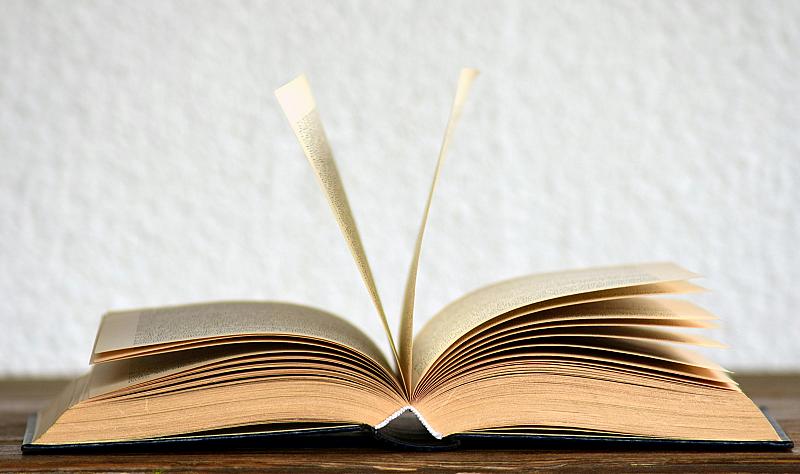 nieuw-boek-de-magie-van-florerende-teams-het-realiseren-van-potentieel-lanceert-op-7-januari-in