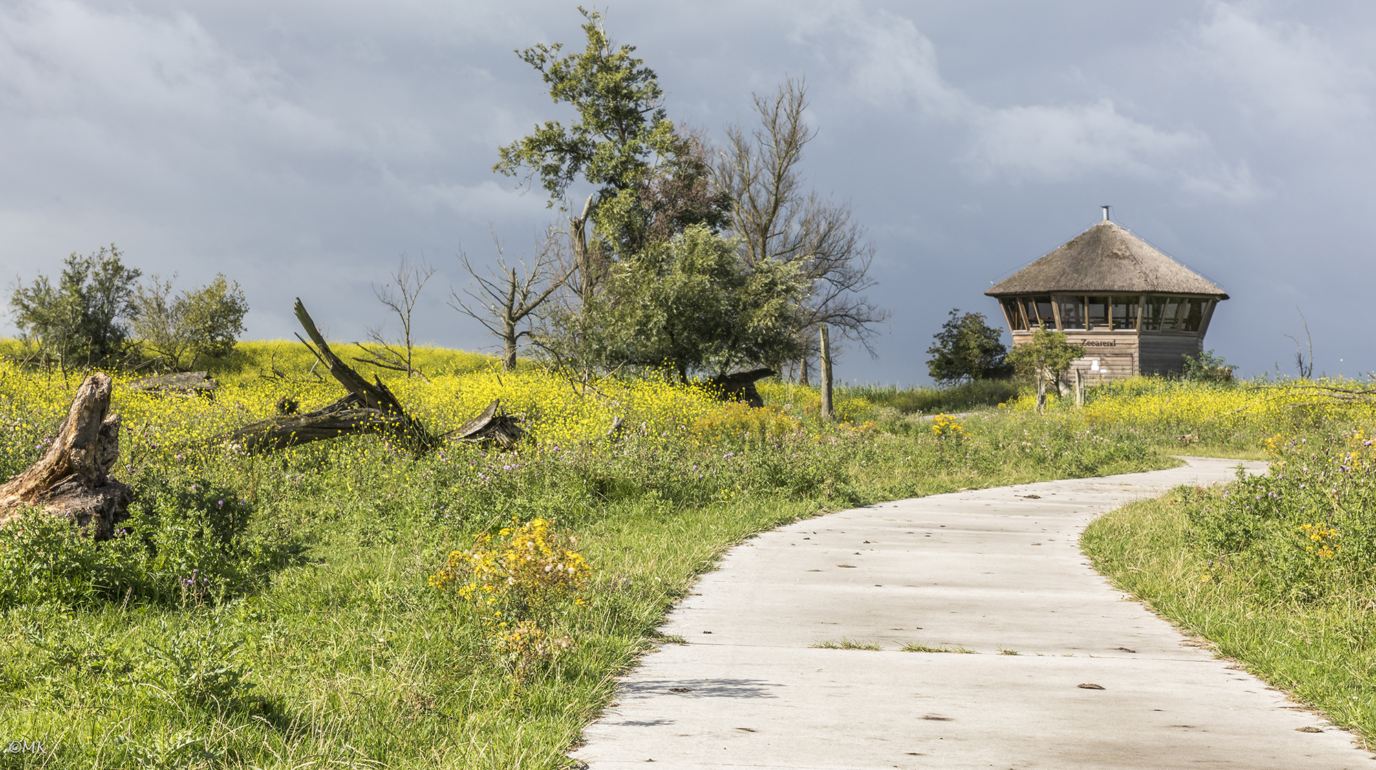 dreigend-oostvaardersplassen