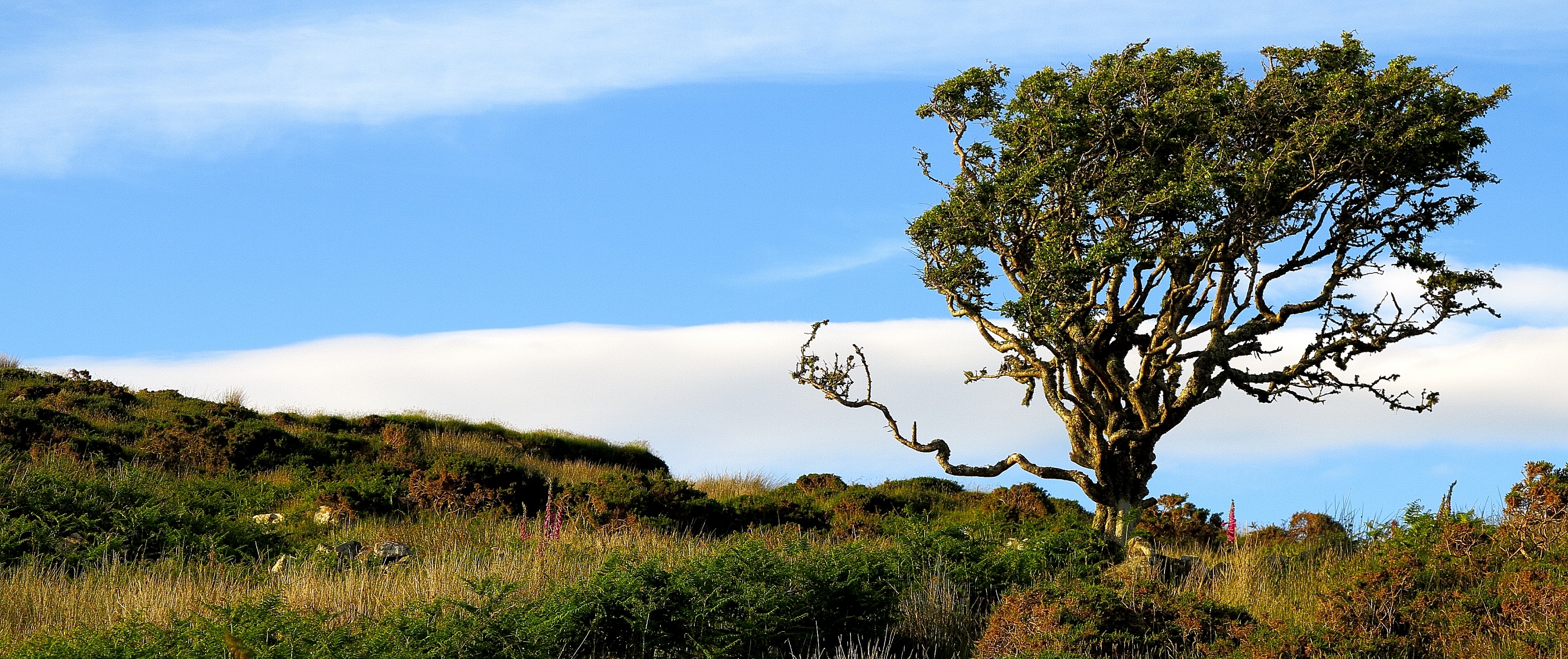 connemara-national-park-ireland