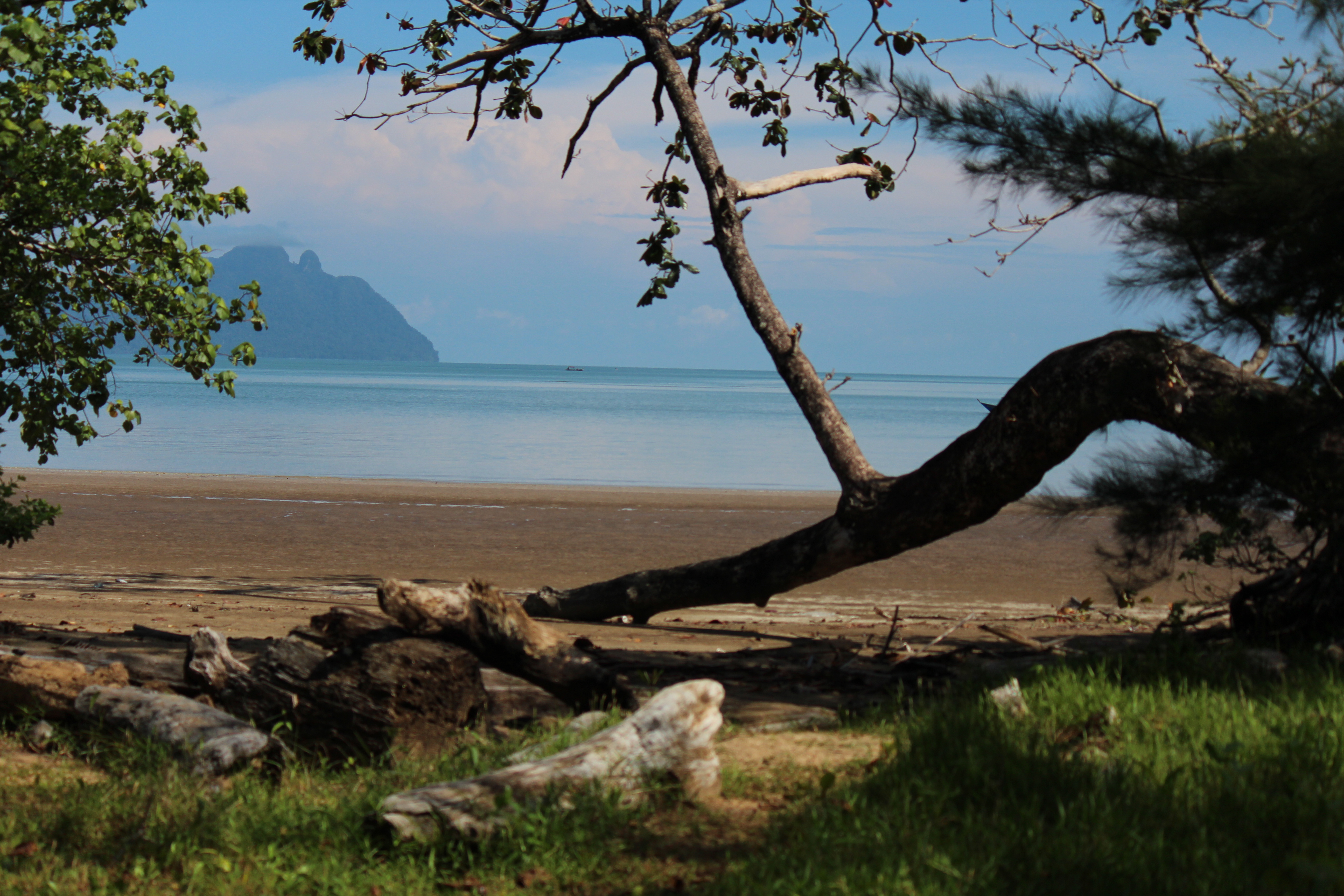 borneo-bako-national-reservaat