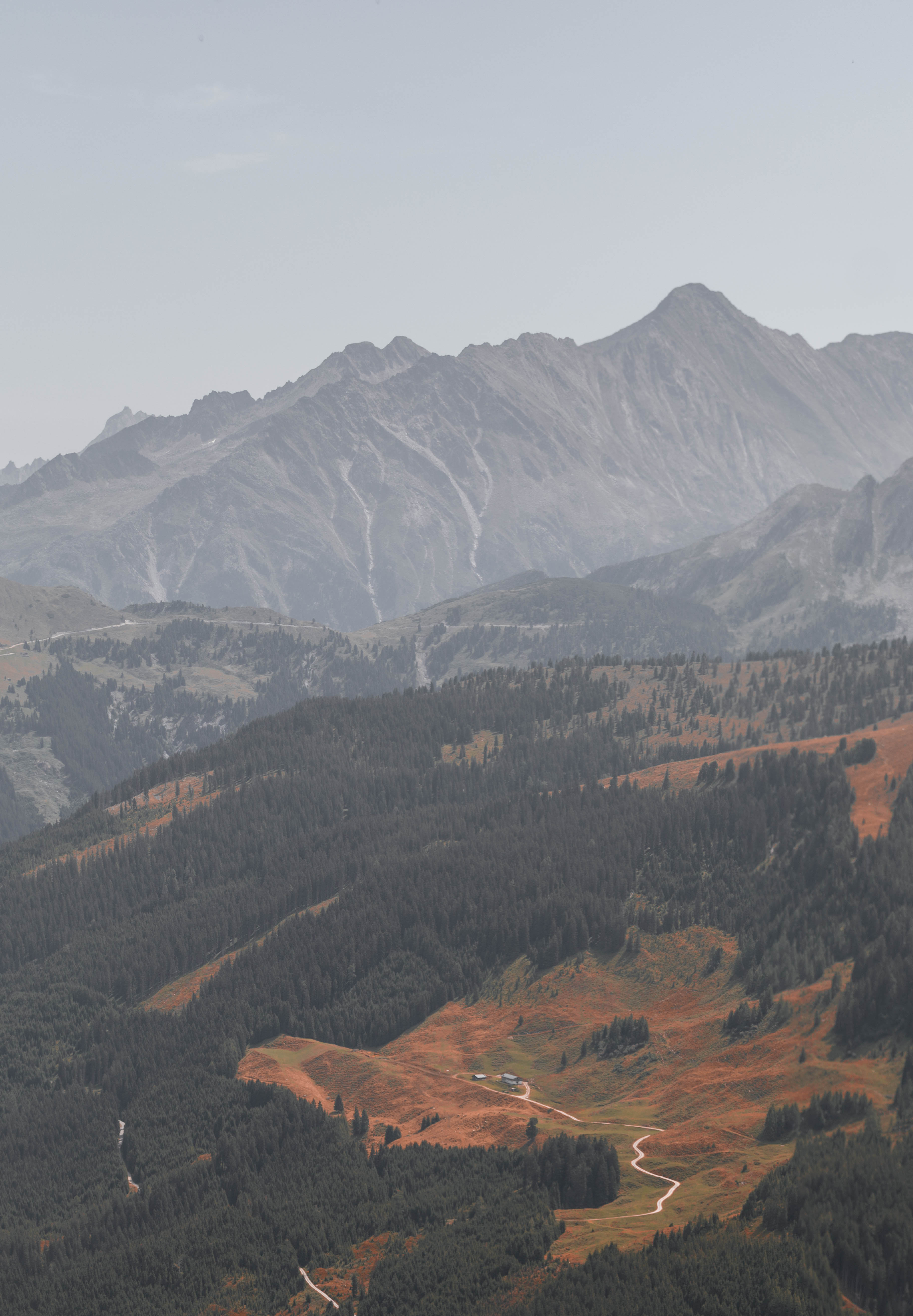 begroeiing-in-de-bergen