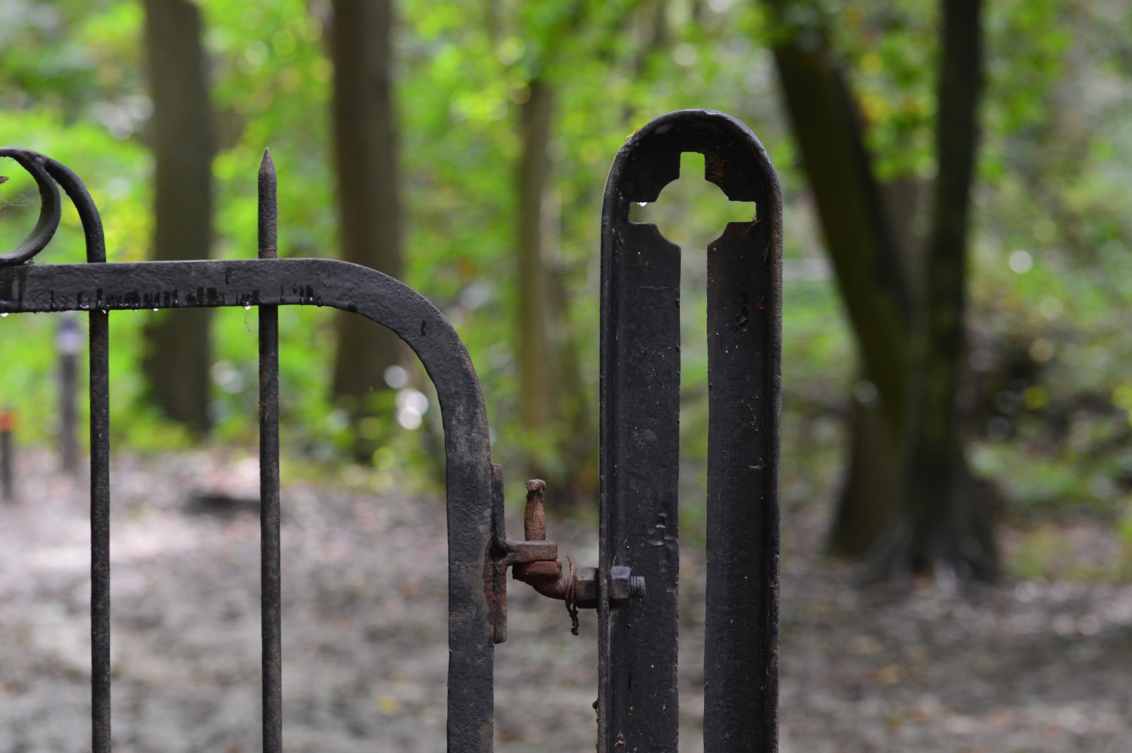 boszicht-door-hekwerk