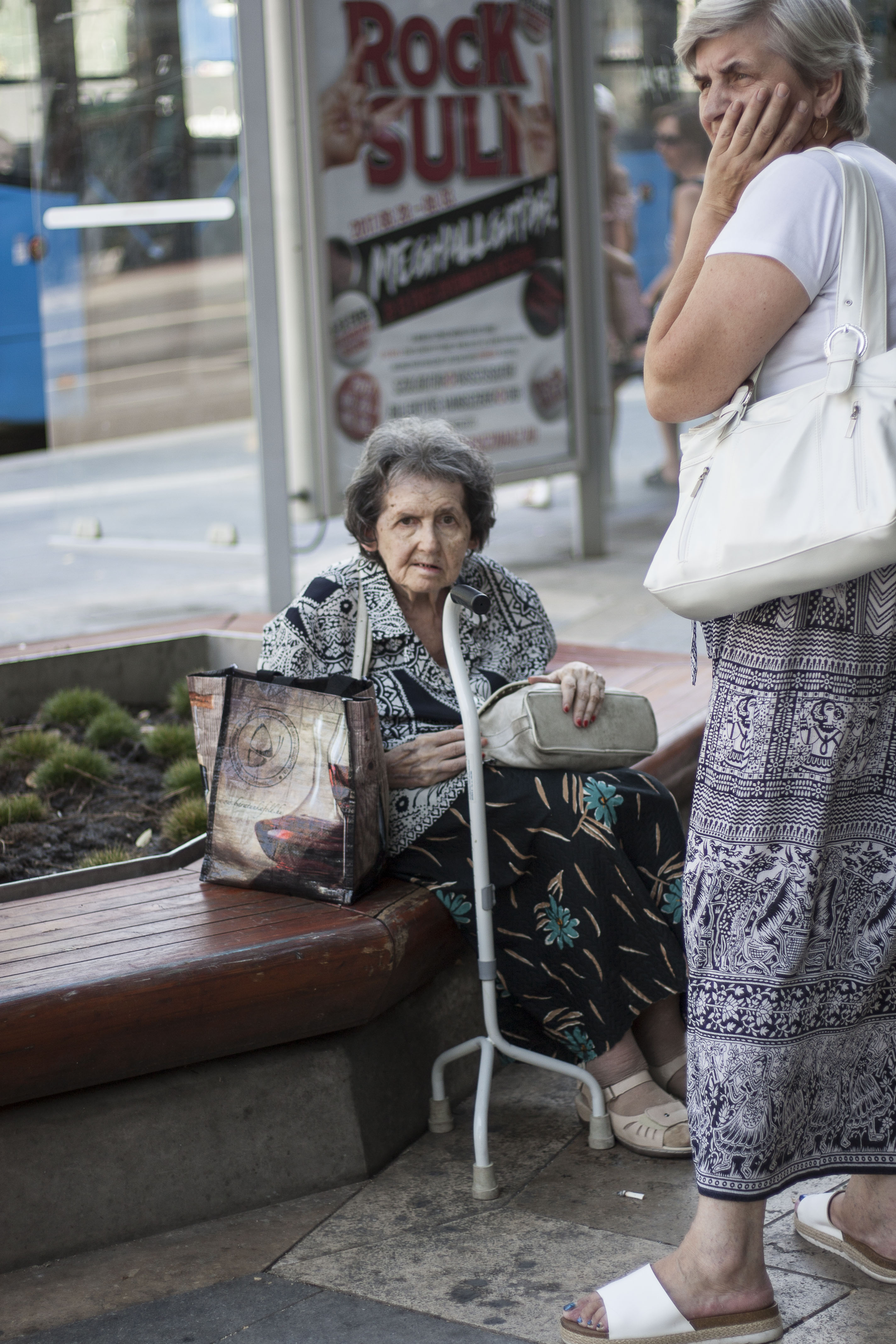 the-granny-of-budapest