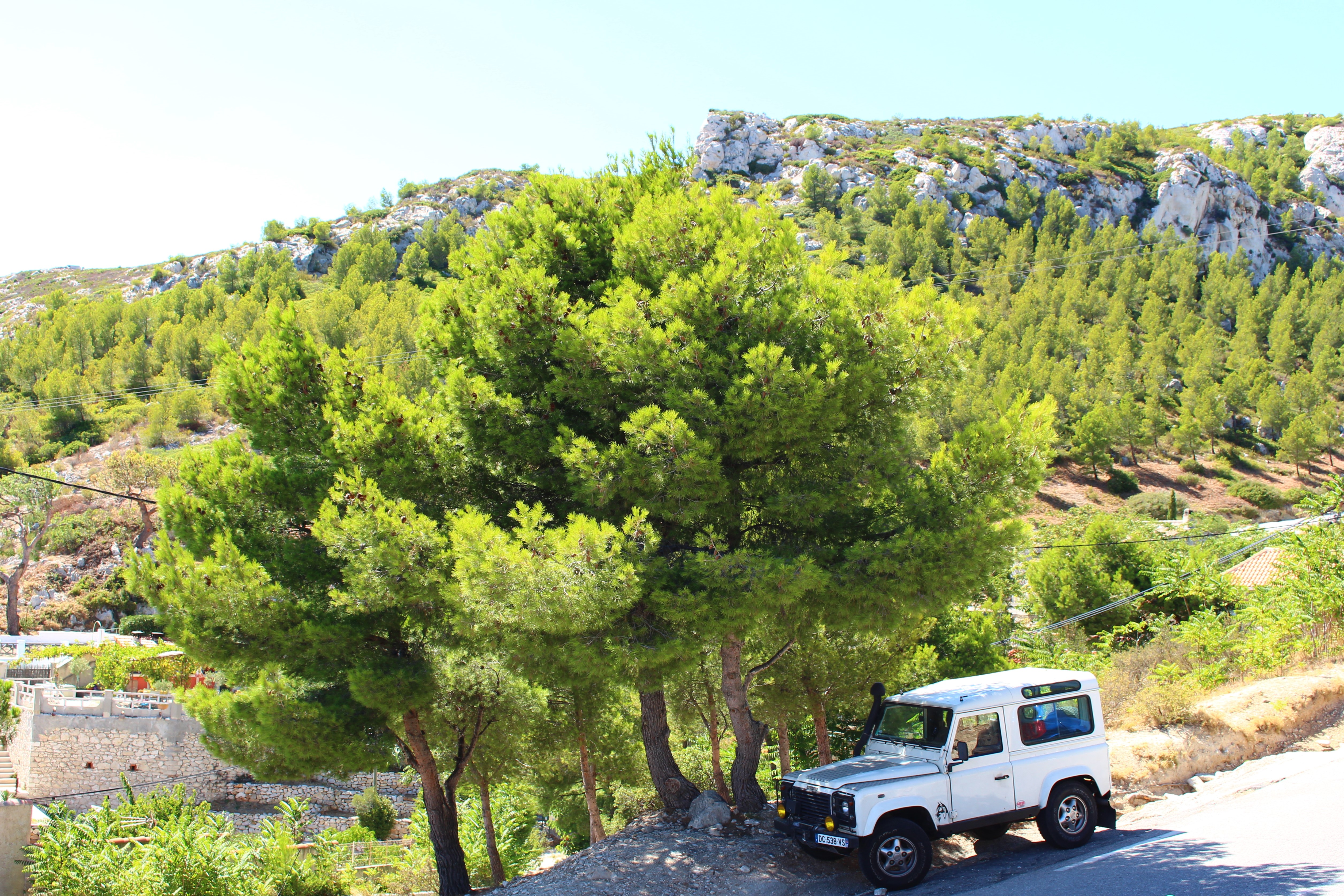 are-you-coming-with-me